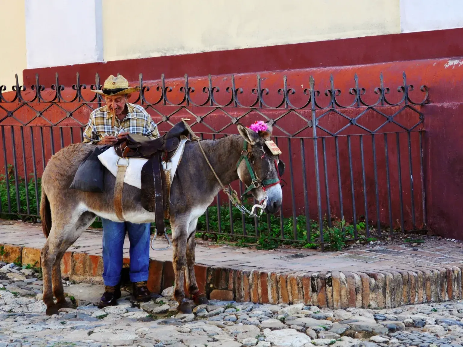 Einheimischer mit Strohhut steht neben seinem Esel in einer Kopfsteinpflastergasse der Kolonialstadt Trinidad auf Kuba.