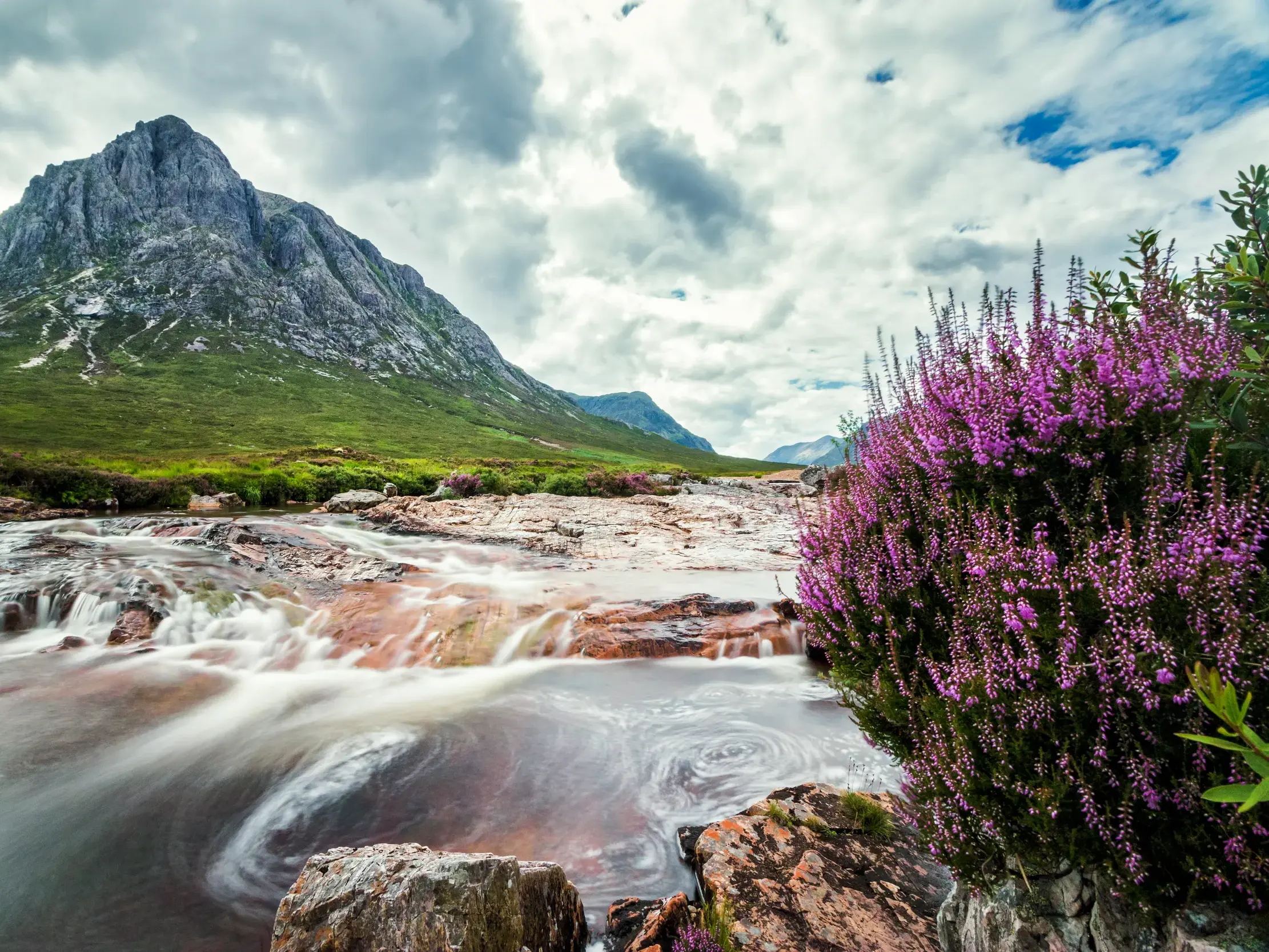 Wildromantische Flusslandschaft mit blühendem Heidekraut im Tal Glen Coe, ein Highlight der Wanderreise durch die Highlands.