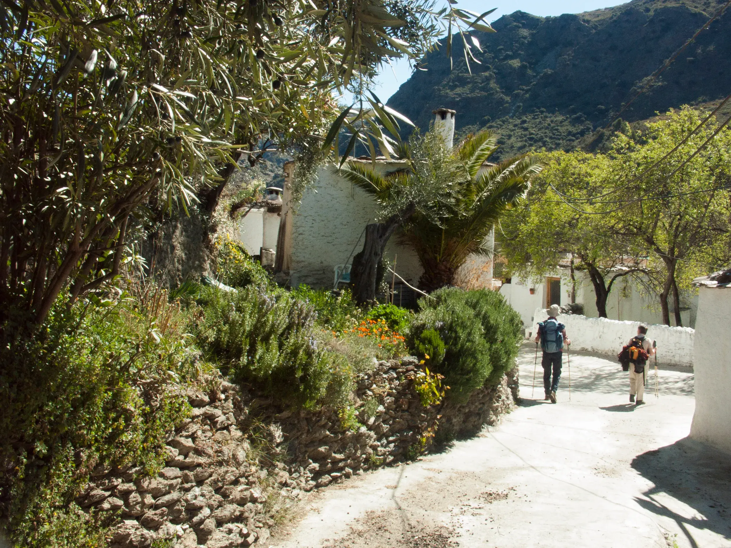 Zwei Wanderer mit Trekkingstöcken gehen durch ein blühendes, weißes Dorf in Andalusien mit den Bergen der Sierra im Hintergrund.