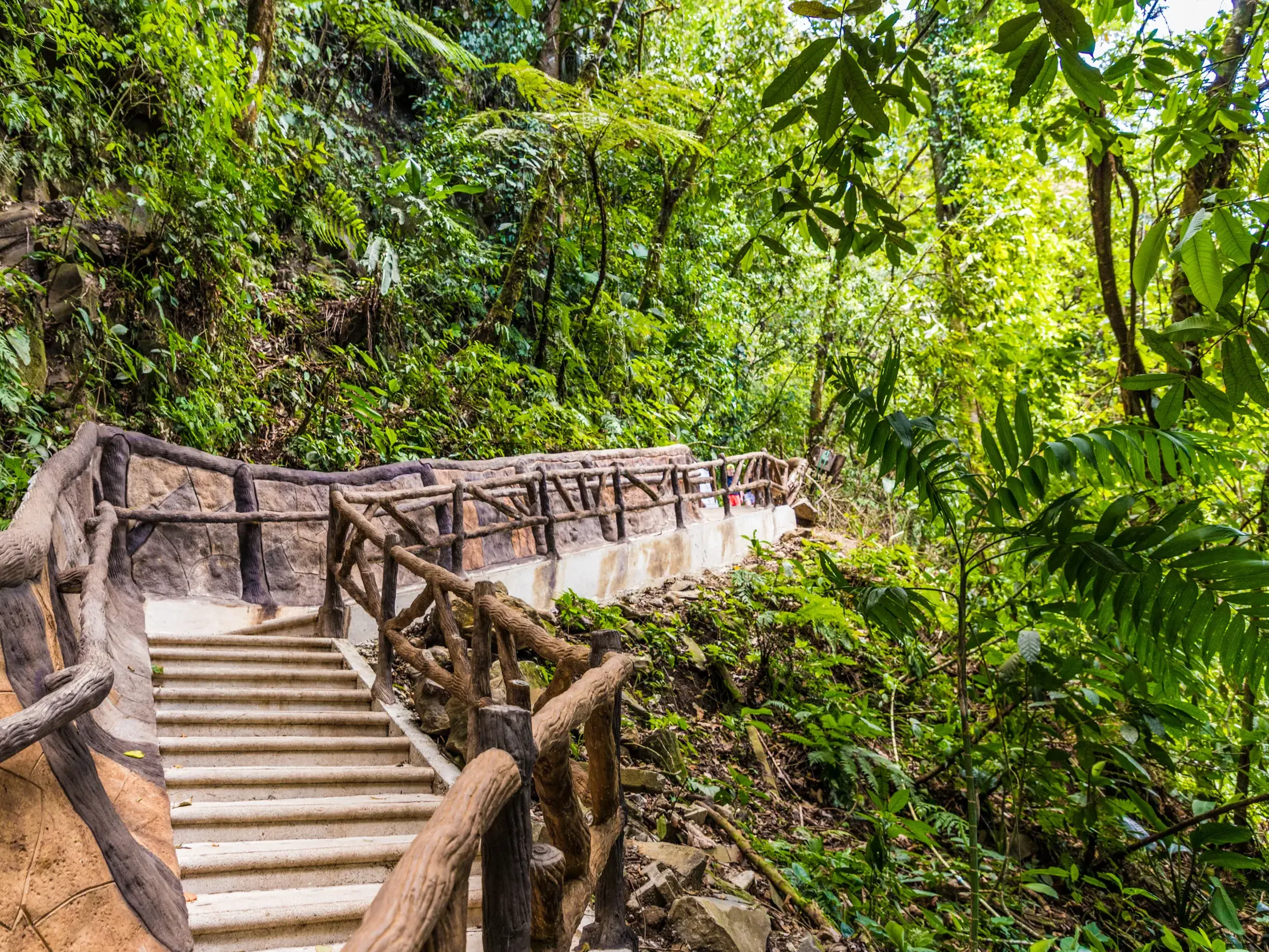 Ein angelegter Wanderweg mit Steintreppen und Geländer in Holzoptik führt durch den dichten, tropischen Regenwald in Costa Rica.