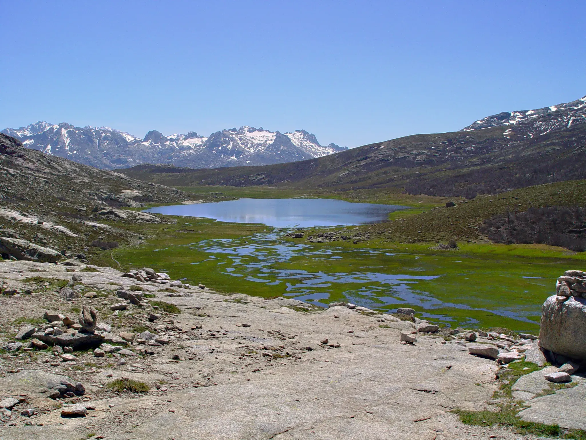Der Bergsee Lac de Nino auf dem GR20 auf Korsika, eingebettet in grüne Wiesen vor der Kulisse schroffer Berggipfel.
