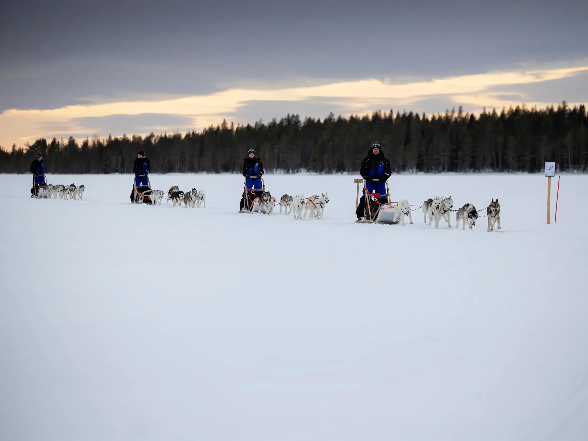 Mehrere Musher einer geführten Gruppenreise auf Hundeschlitten über einem weiten, zugefrorenen See in Finnisch Lappland.