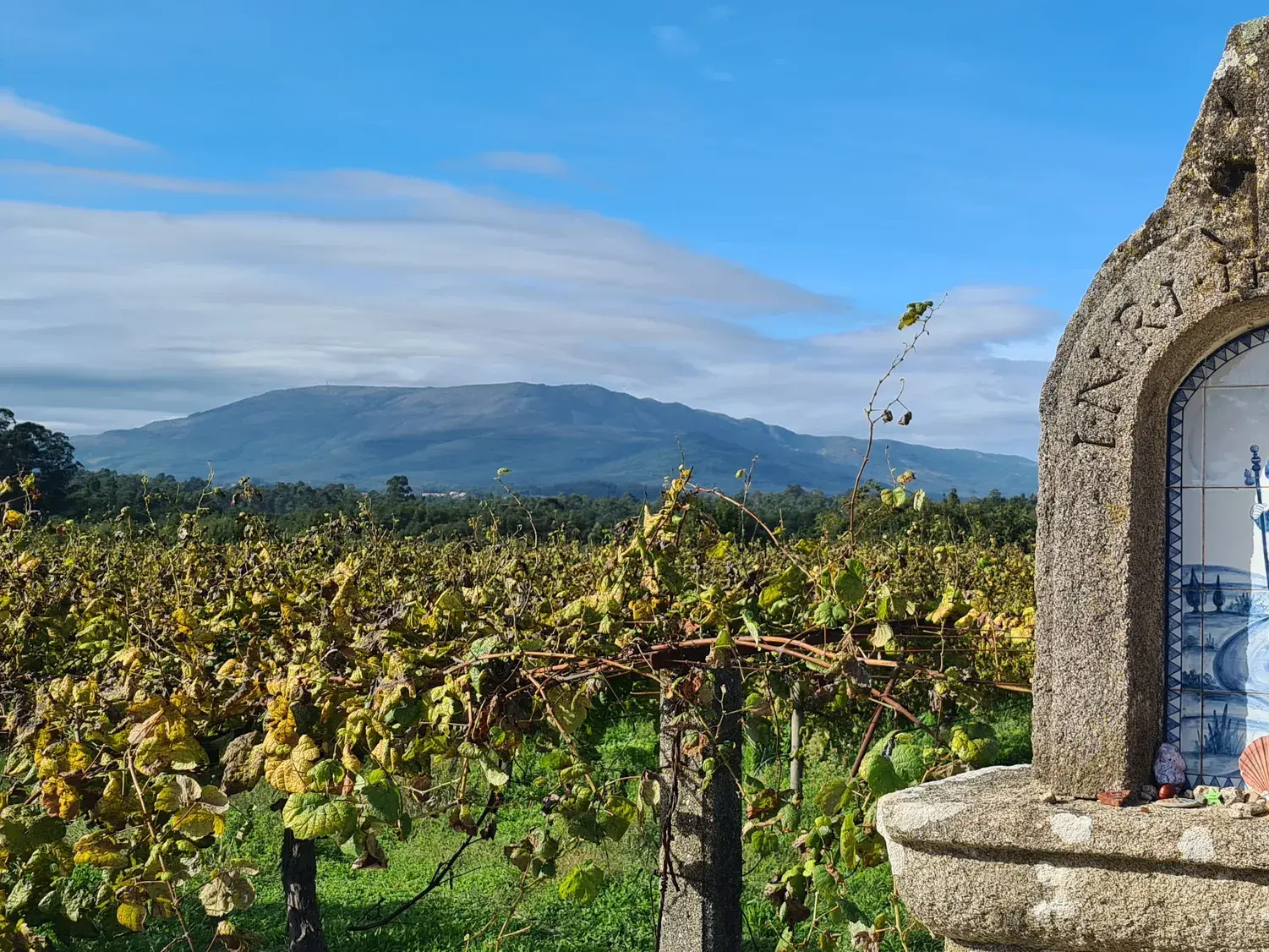 Ein Steinwegweiser am Jakobsweg in Portugal mit Azulejo-Kachel vor einem Weinberg und einer Berglandschaft im Hintergrund.