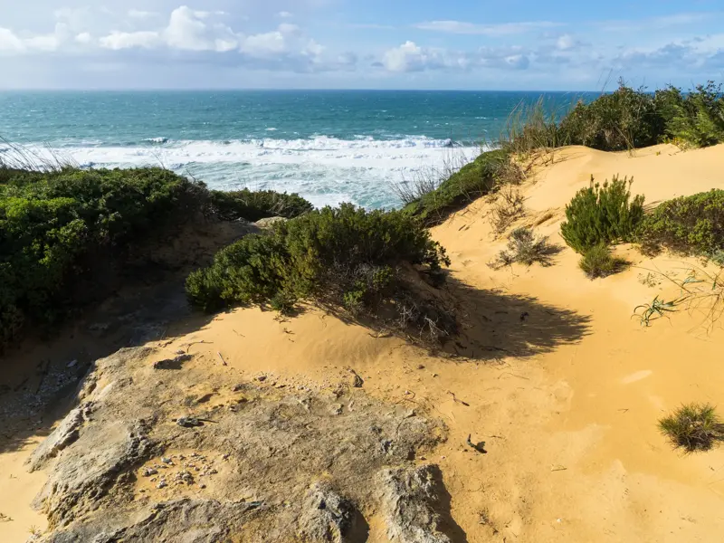Blick von einer bewachsenen Sanddüne im Naturpark Carrapateira auf die tosende Brandung des Atlantiks in Portugal.