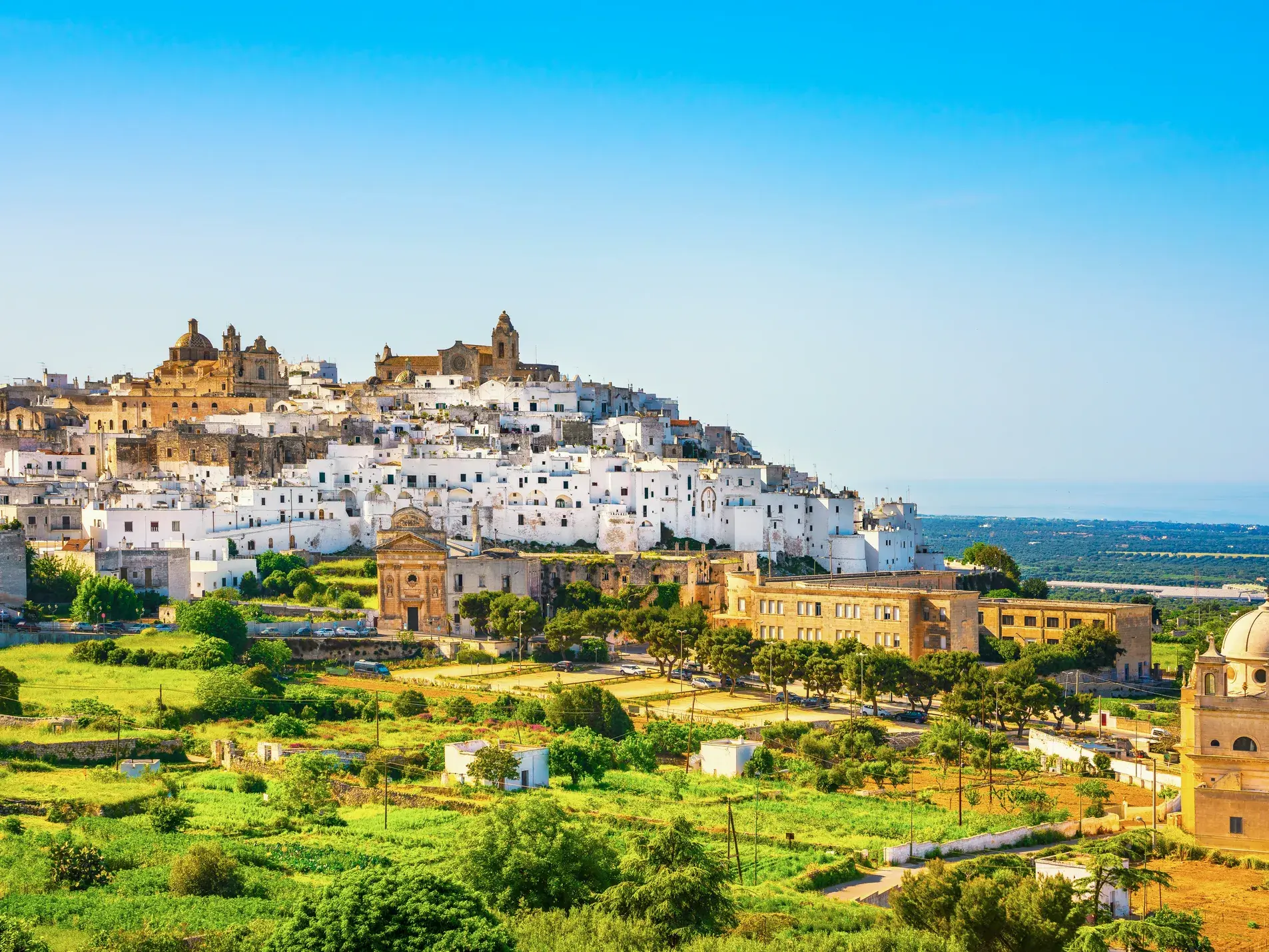 Die weiße Stadt Ostuni thront auf einem Hügel in Apulien, umgeben von grüner Landschaft und mit Blick auf die Küste.