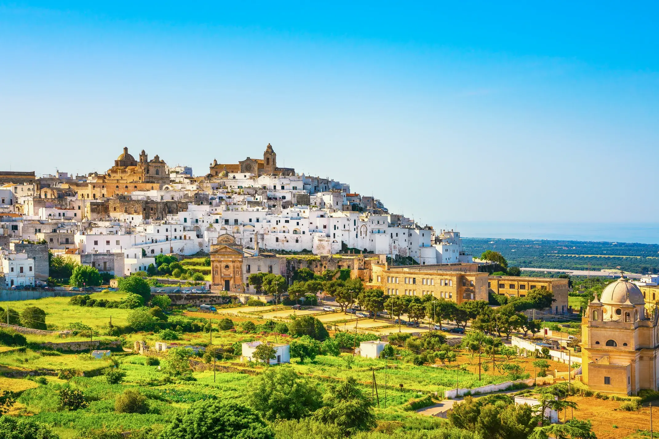 Die weiße Stadt Ostuni thront auf einem Hügel in Apulien, umgeben von grüner Landschaft und mit Blick auf die Küste.