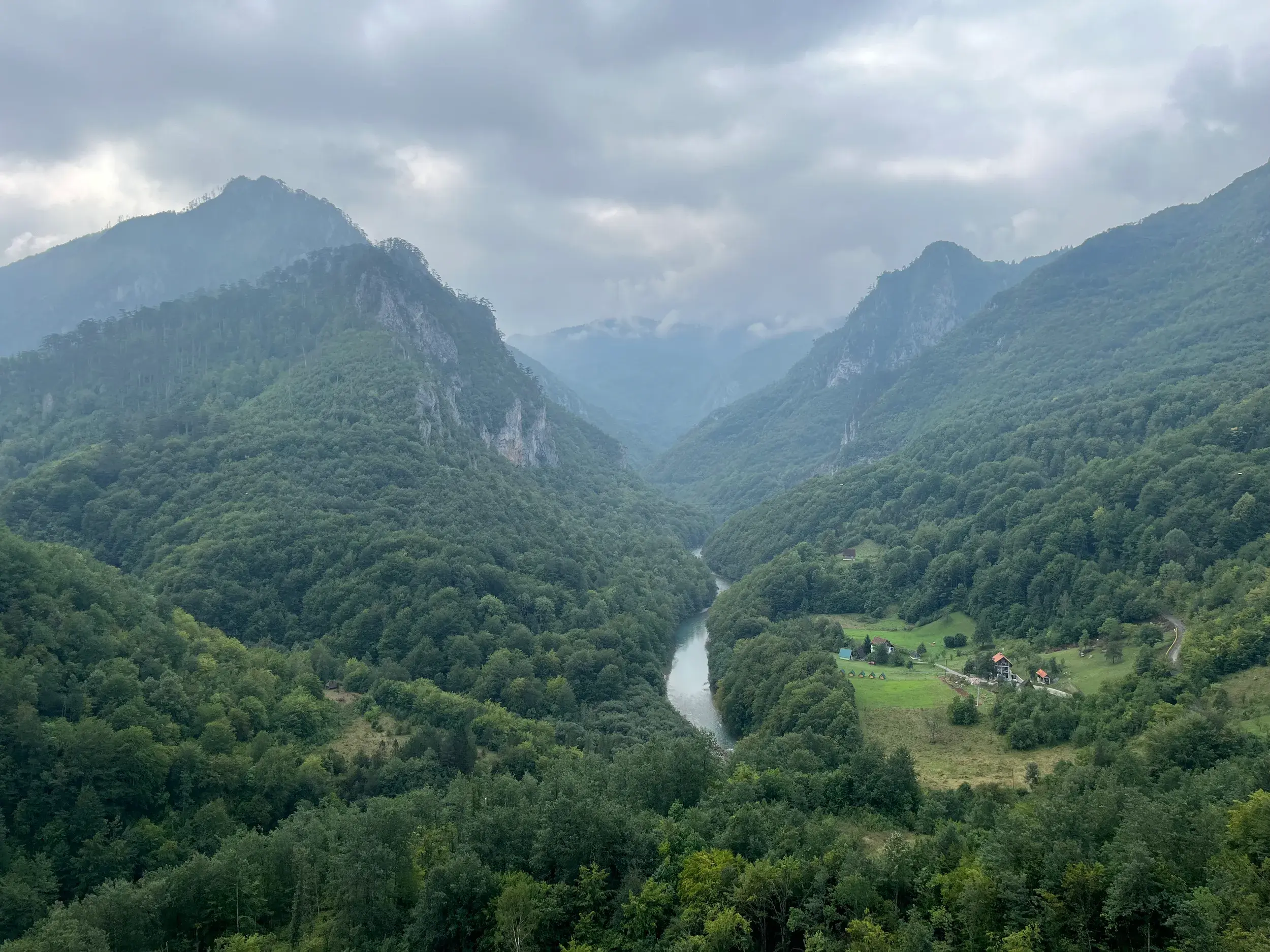 Ausblick über die tiefgrüne, dicht bewaldete Tara-Schlucht im Durmitor Nationalpark Montenegros mit dem Fluss Tara.