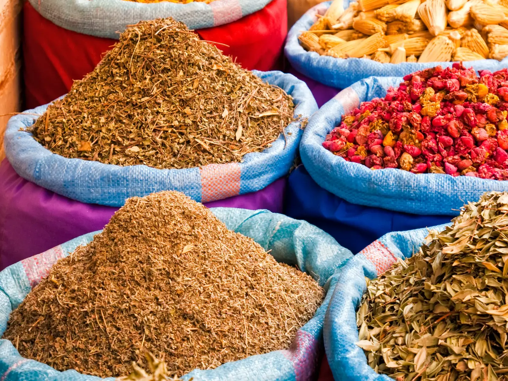Ihre Studiosus Reiseleitung lotst Sie sicher durch das Labyrinth der Gassen auf dem Markt von Marrakesch und zeigt Ihnen die schönsten Fotomotive.
