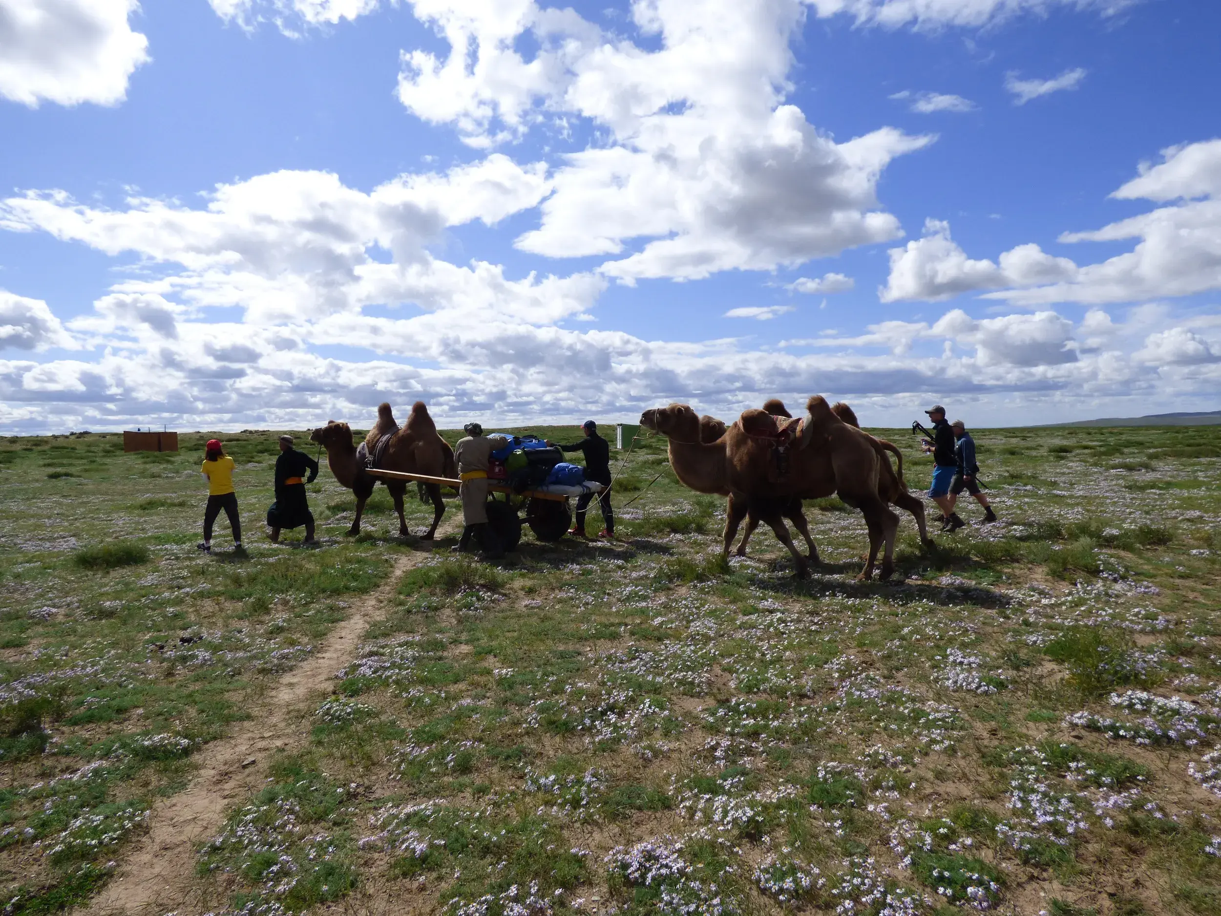 Eine Reisegruppe mit Kamelhirten und Packkamelen beim Start des Trekkings durch die blühende Steppenlandschaft der Mongolei.