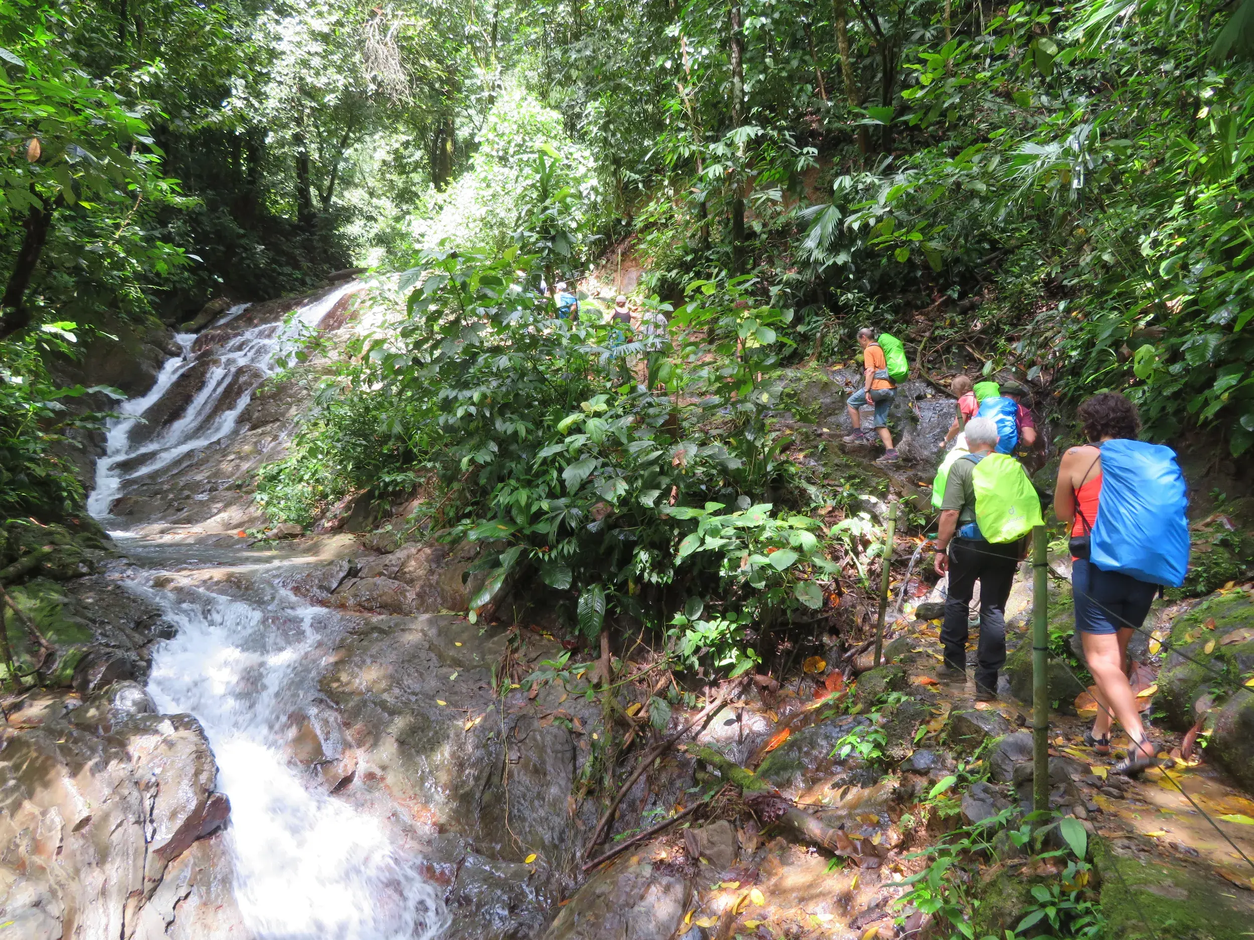 Eine Hauser-Wandergruppe steigt einen schmalen Pfad entlang eines Wasserfalls im dichten Regenwald Costa Ricas hinauf.