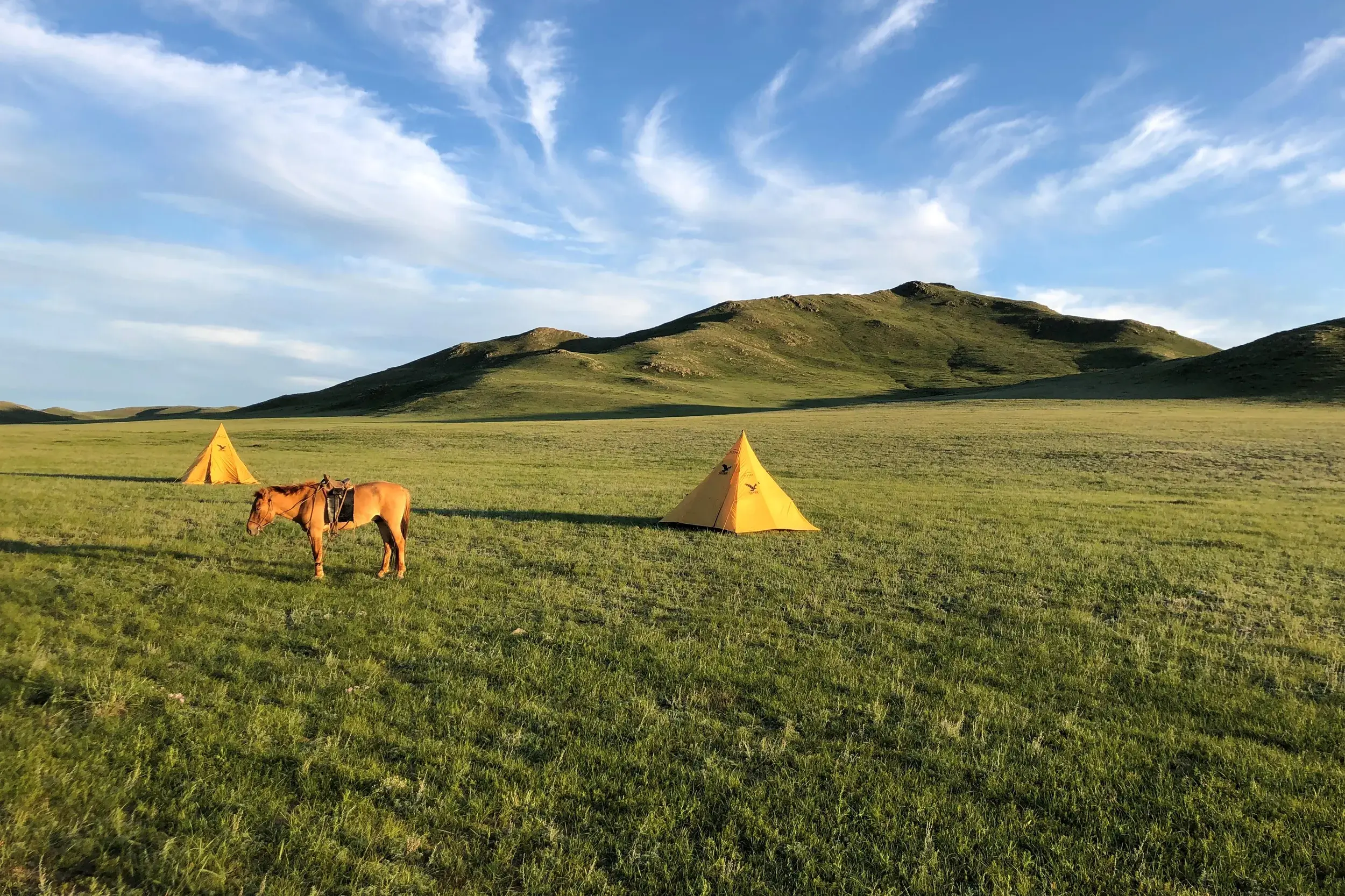 Zwei gelbe Zelte und ein gesatteltes Packpferd in der weiten, grünen Steppe des Khan-Khentii-Nationalparks in der Mongolei.