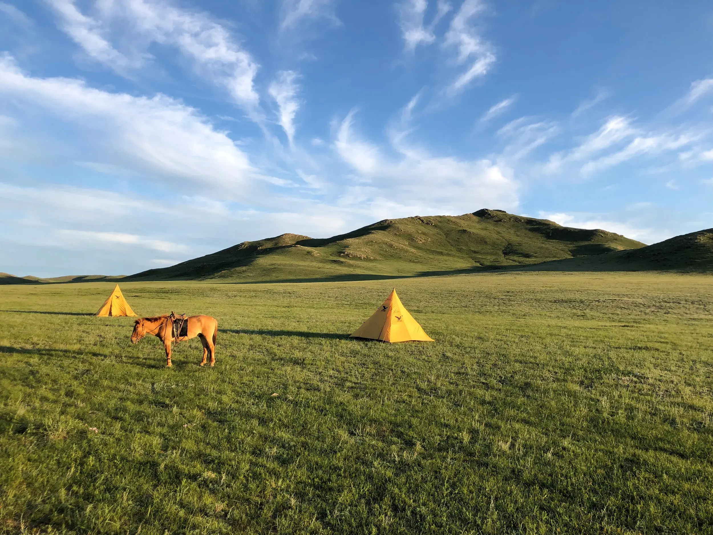Zwei gelbe Zelte und ein gesatteltes Packpferd in der weiten, grünen Steppe des Khan-Khentii-Nationalparks in der Mongolei.