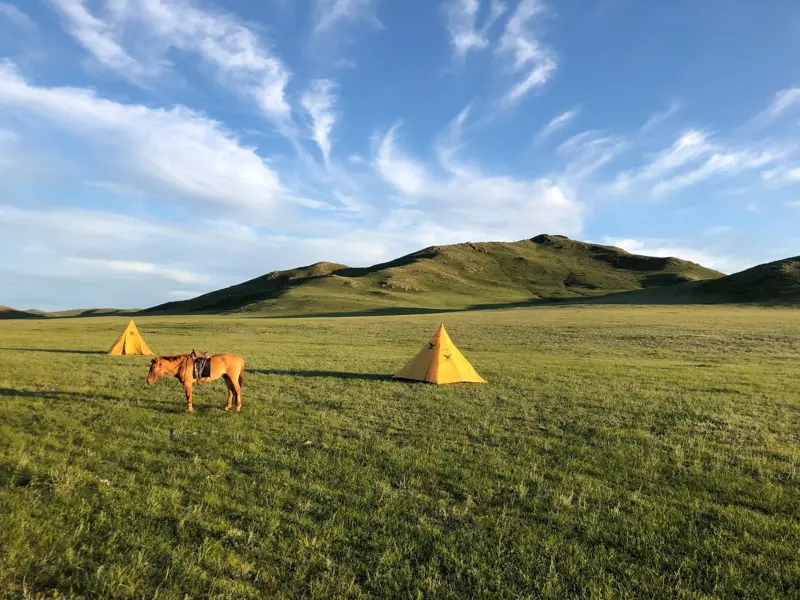Zwei gelbe Zelte und ein gesatteltes Packpferd in der weiten, grünen Steppe des Khan-Khentii-Nationalparks in der Mongolei.