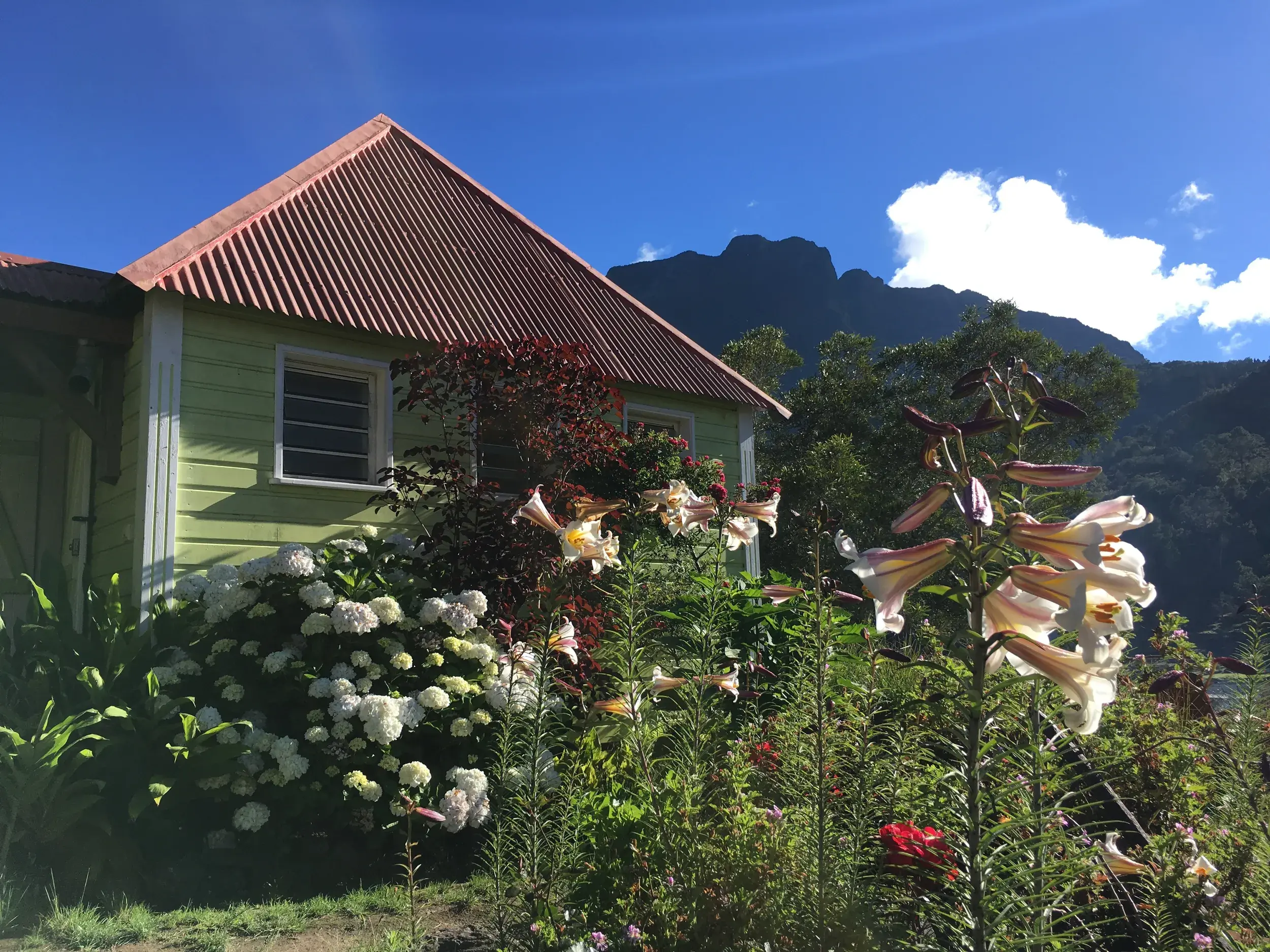 Typisches kreolisches Haus in Hell Bourg mit blühendem Garten, im Hintergrund die Berge des Cirque de Salazie auf La Réunion.