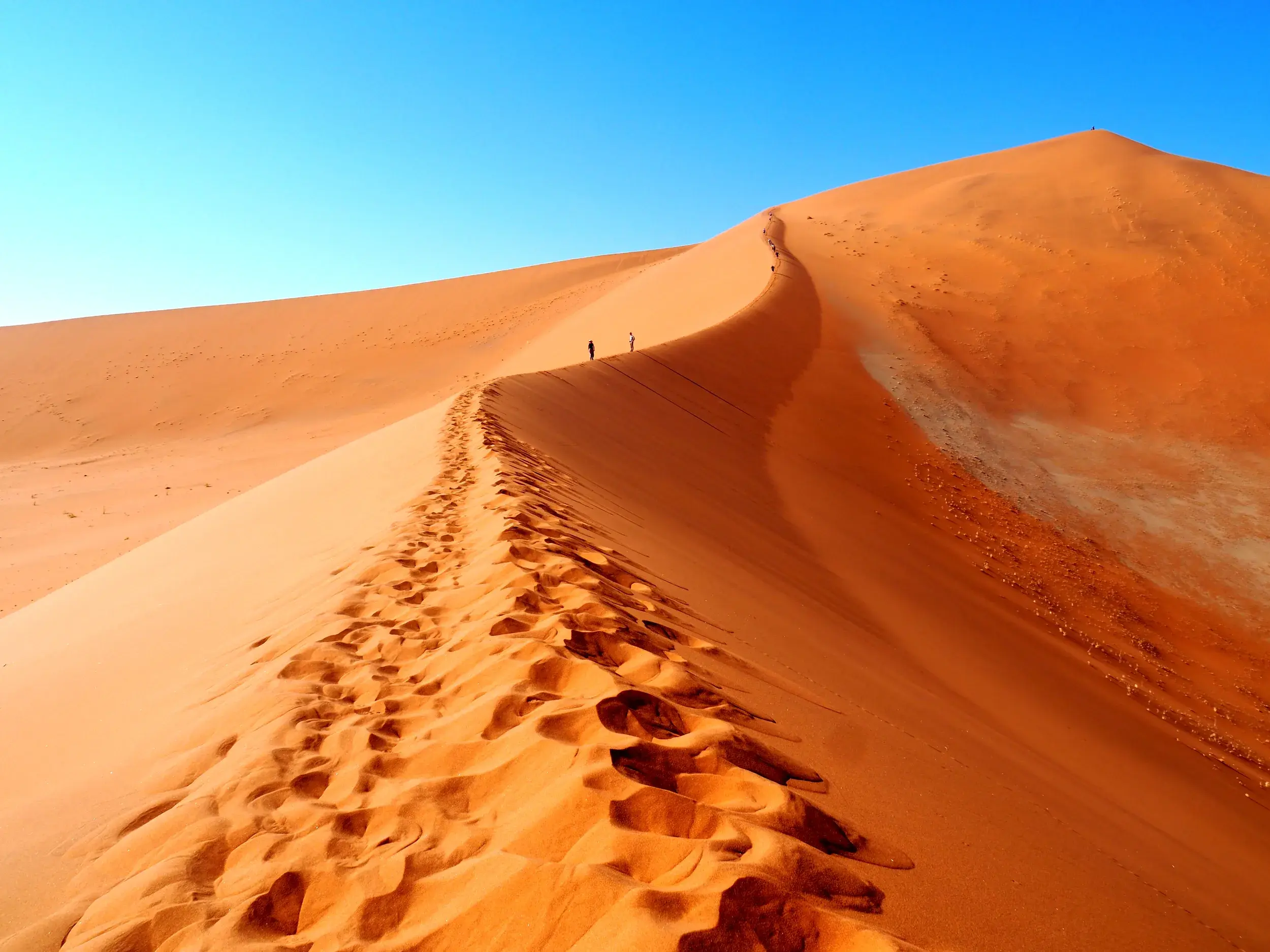Eine Gruppe junger Leute wandert auf dem Grat der rostroten Düne 45 im Sossusvlei unter strahlend blauem Himmel.