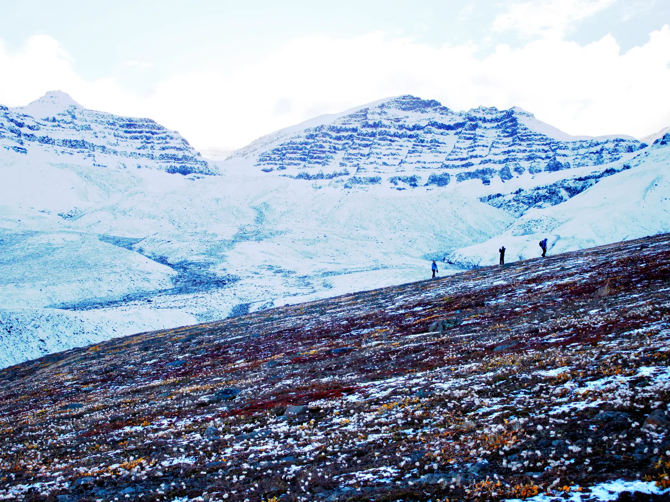 Eine Trekkinggruppe wandert einen kargen Hang hinauf, im Hintergrund die weite, schneebedeckte Berglandschaft Westgrönlands.