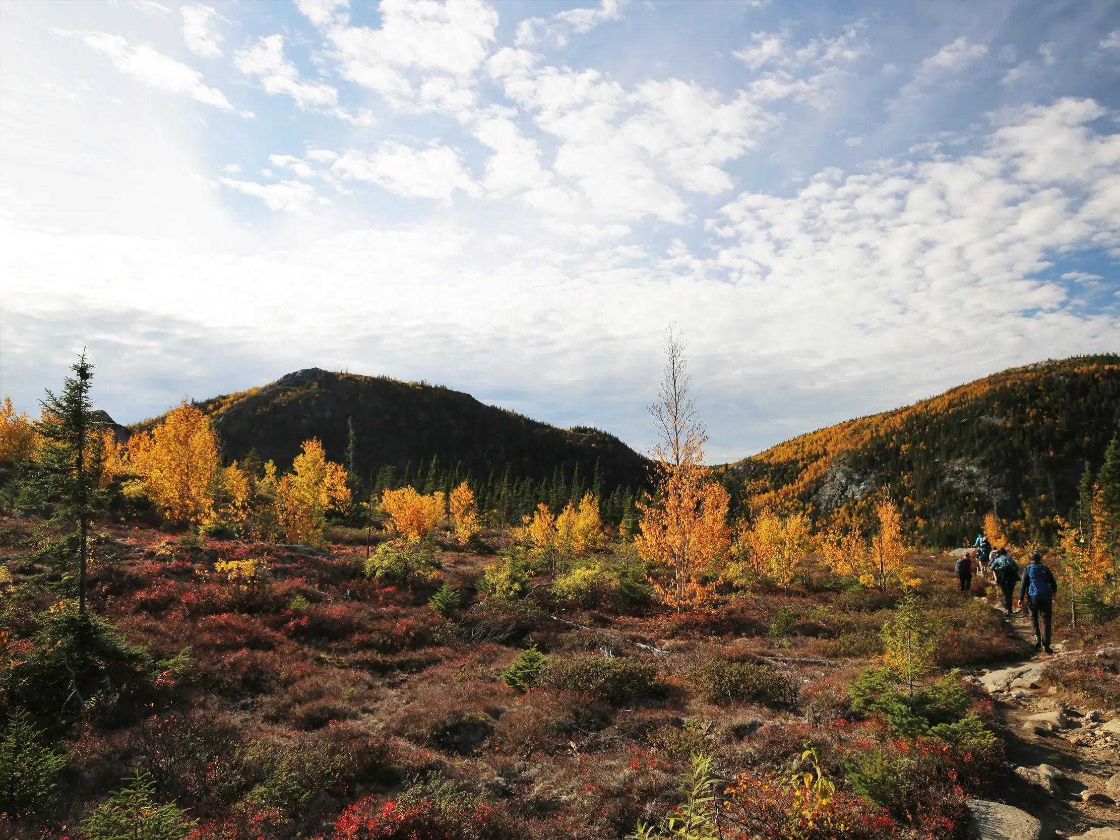 Eine Wandergruppe erkundet auf einem Pfad die Berglandschaft Québecs während des farbenprächtigen Indian Summer.