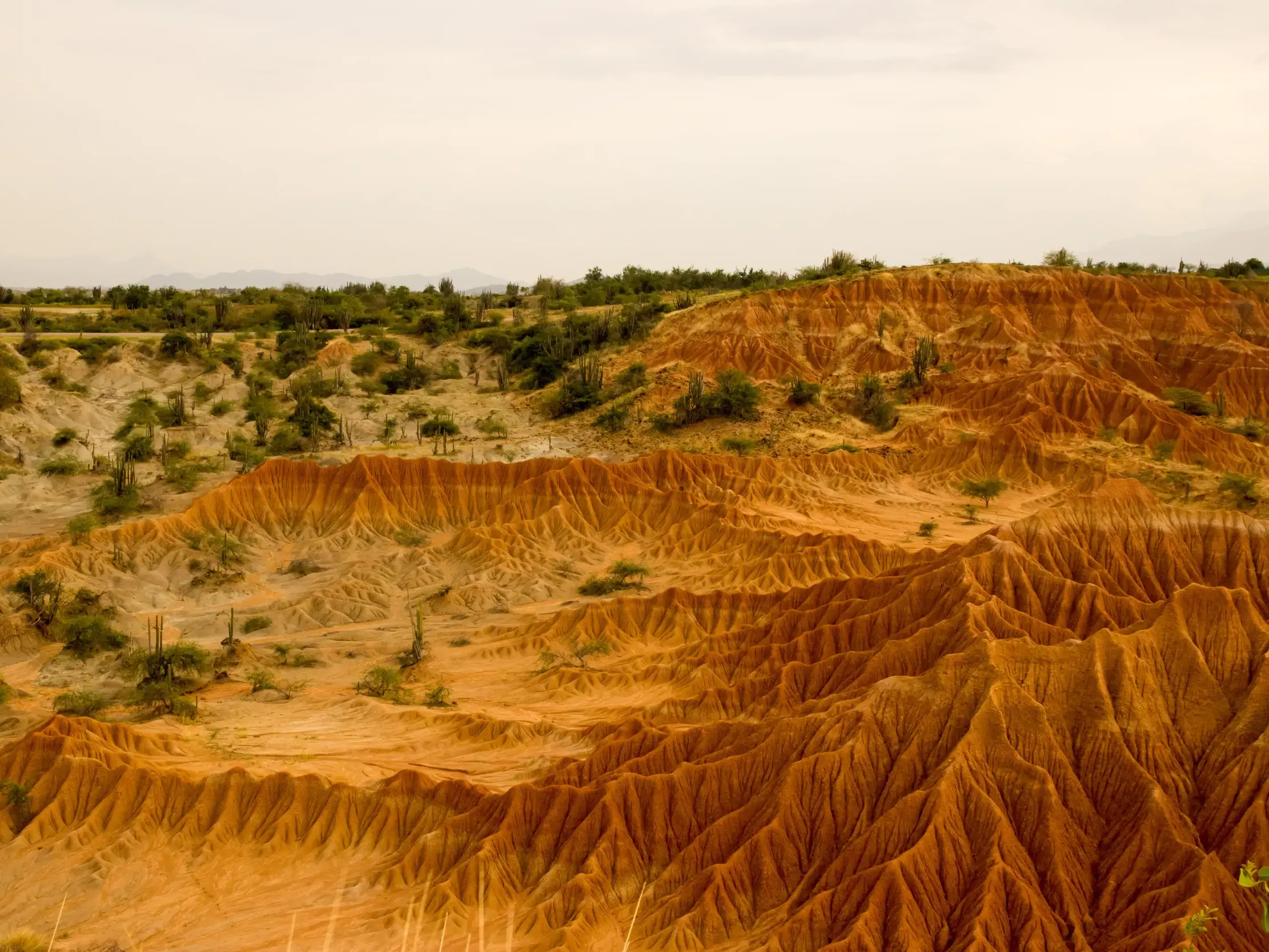 Wanderung durch die bizarr erodierten, roten Sandformationen der Tatacoa-Wüste in Kolumbien bei Villavieja.