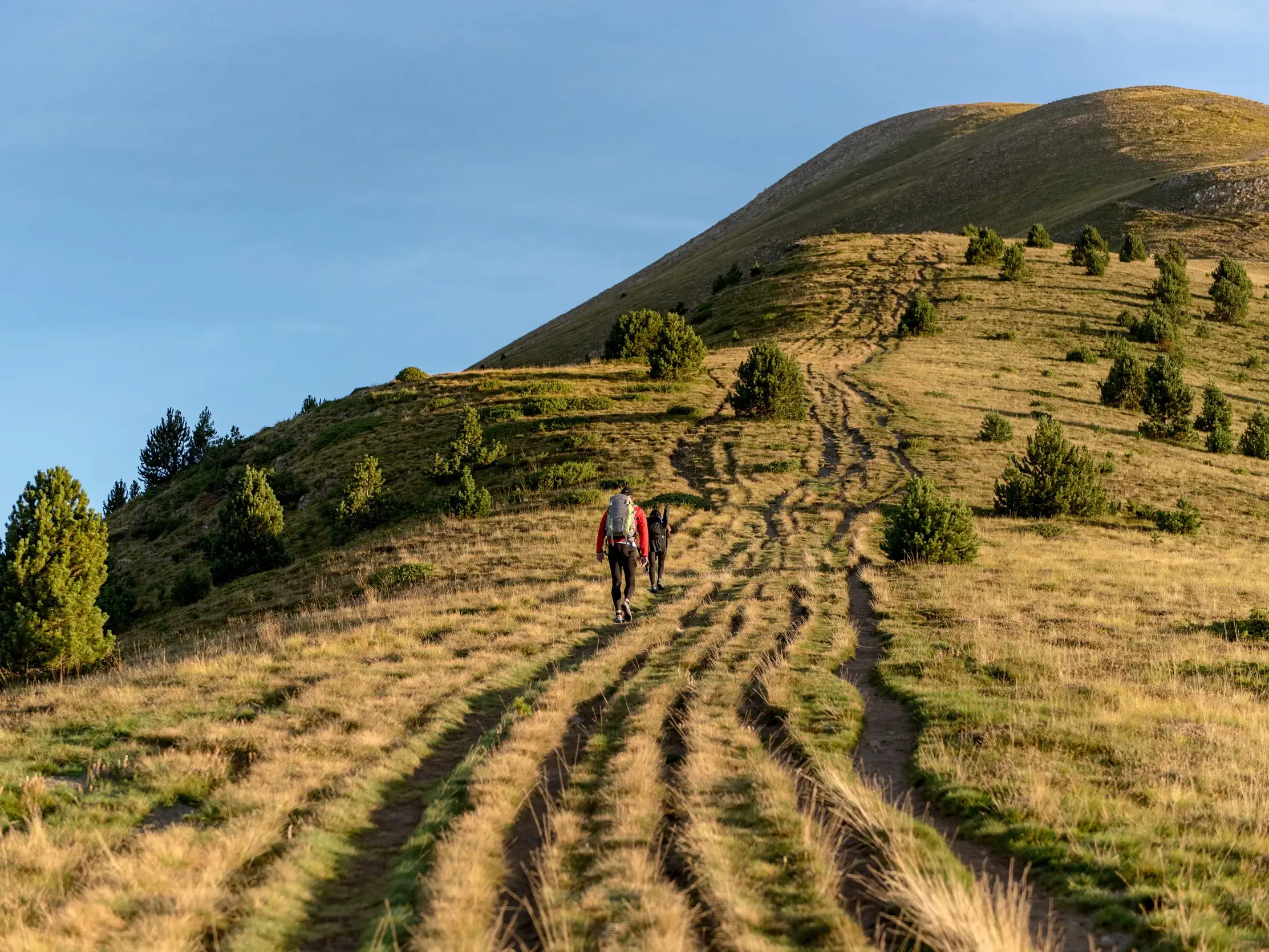 Zwei Wanderer auf einem Pfad beim Trekking auf den grasbewachsenen Gipfel des Pic de Casamanya in den Pyrenäen Andorras.