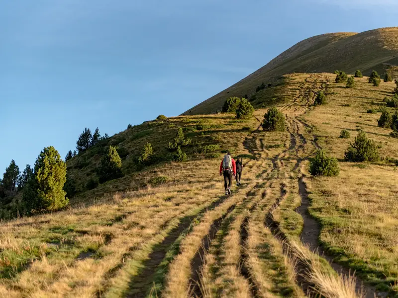 Zwei Wanderer folgen einem Pfad über grüne Almen beim Aufstieg zum Gipfel des Pic de Casamanya in den Pyrenäen von Andorra.
