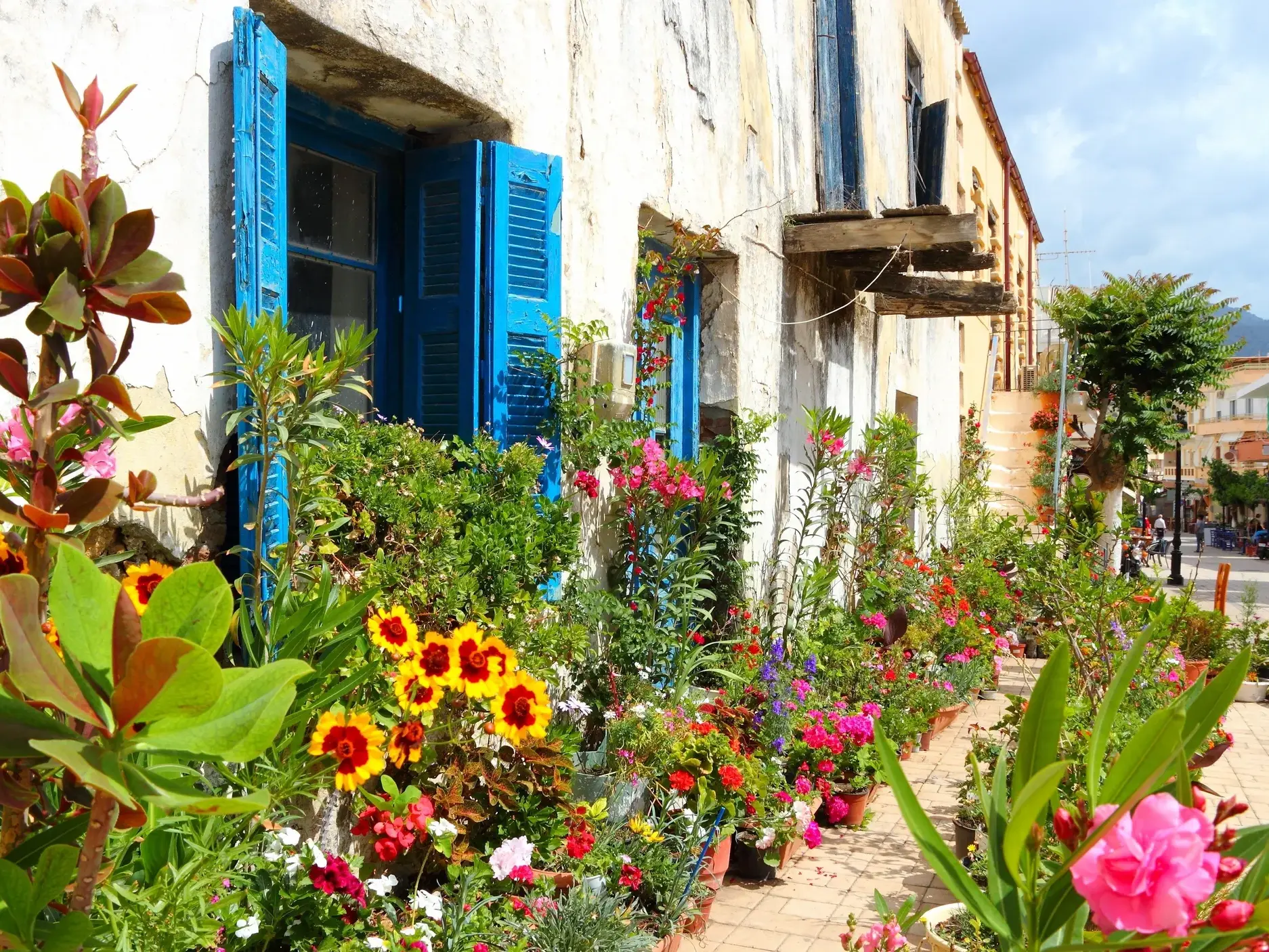 Zahlreiche bunte Blumen in Töpfen säumen eine Gasse in Paleochora auf Kreta vor einem Haus mit blauen Fensterläden.
