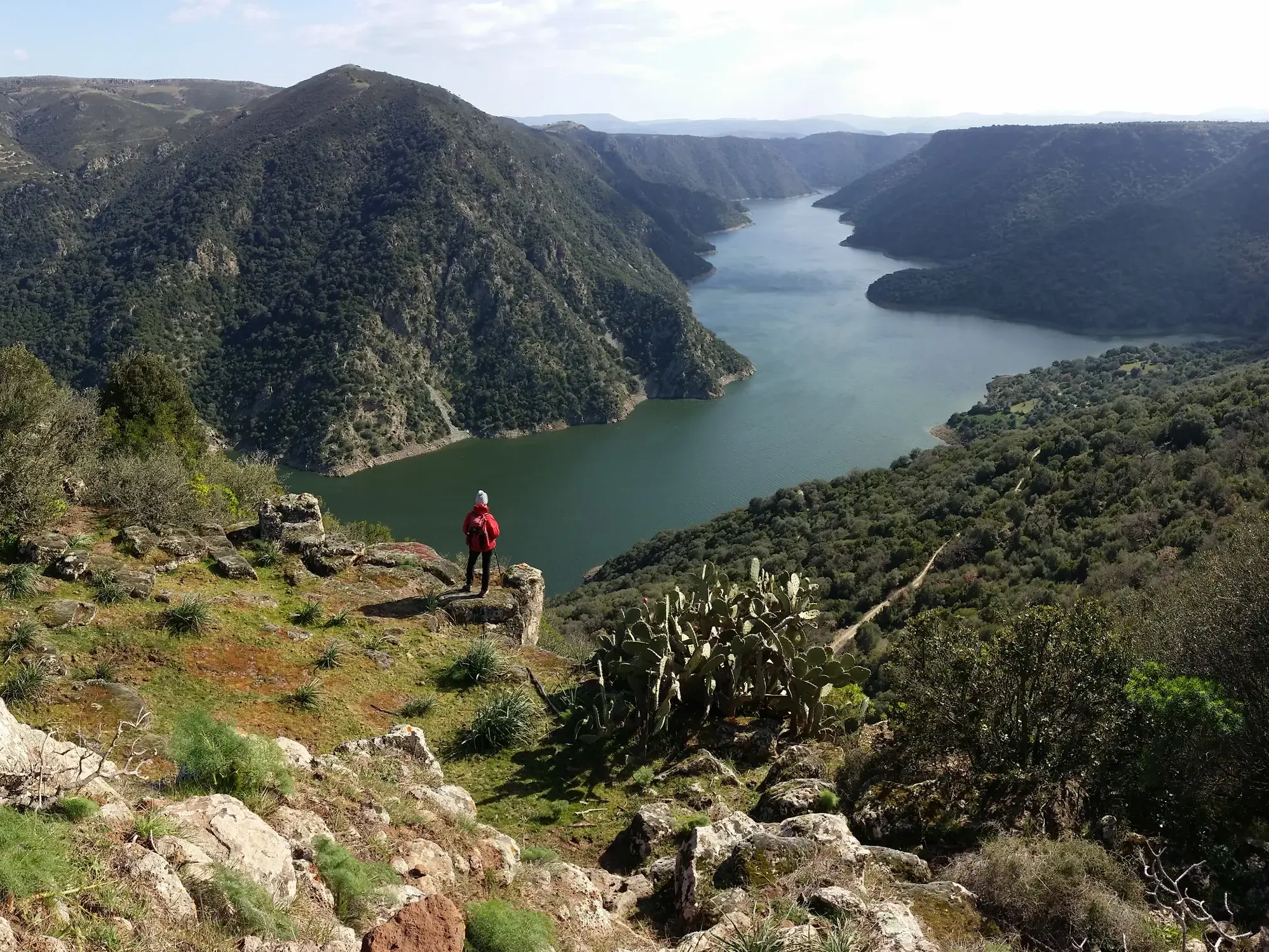 Wanderer auf einem Felsvorsprung blickt über die grüne Berglandschaft und einen großen Stausee bei Austis auf Sardinien.