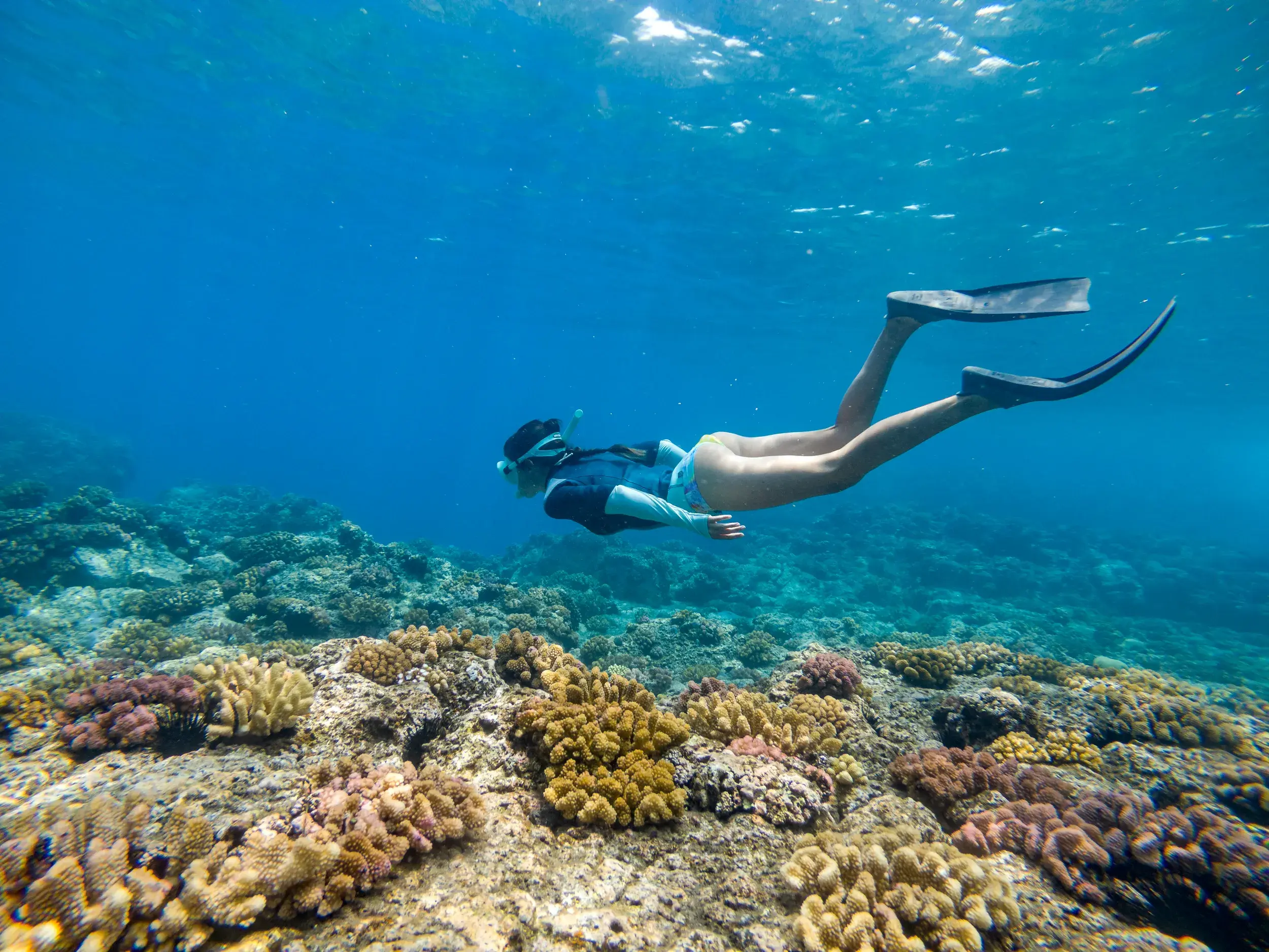 Eine Frau entdeckt beim Schnorcheln die Unterwasserwelt am Korallenriff vor Saint-Gilles auf der Insel La Réunion.