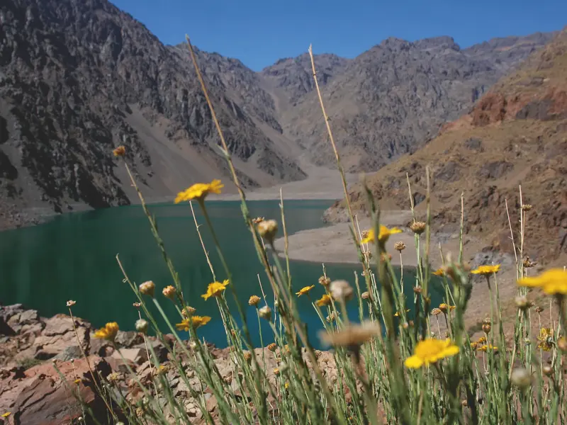 Gelbe Wildblumen am Ufer des smaragdgrünen Lac d'Ifni, eingebettet in die karge Berglandschaft des Hohen Atlas in Marokko.