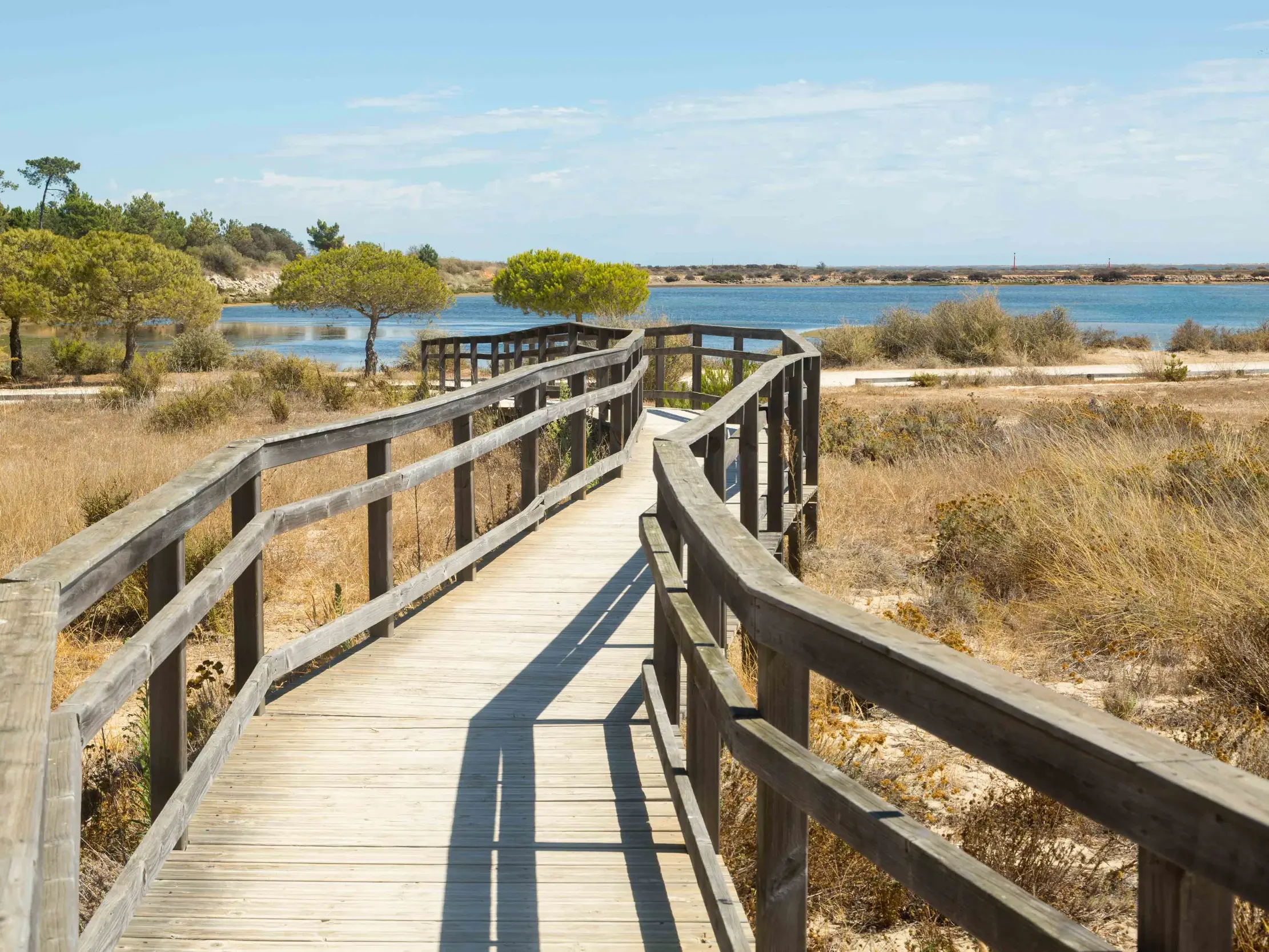 Ein hölzerner Wanderweg schlängelt sich durch die sonnige Lagunenlandschaft des Naturparks Ria Formosa an der Algarve.