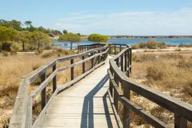 Ein hölzerner Wanderweg schlängelt sich durch die sonnige Lagunenlandschaft des Naturparks Ria Formosa an der Algarve.