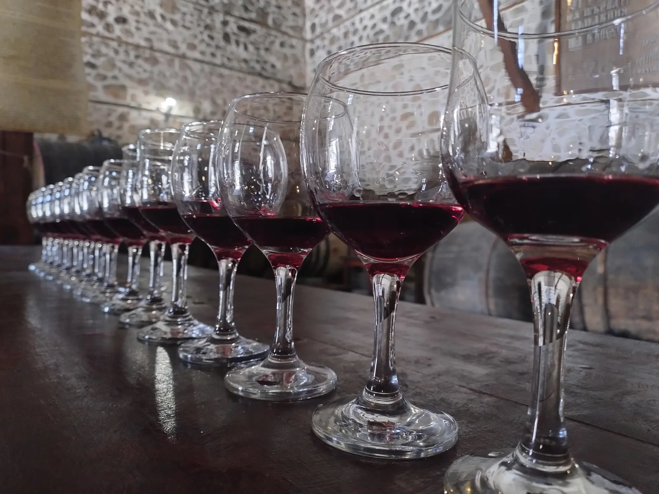 Eine Reihe mit Rotwein gefüllter Gläser steht für eine Weinverkostung in einem urigen Weinkeller in Melnik bereit.