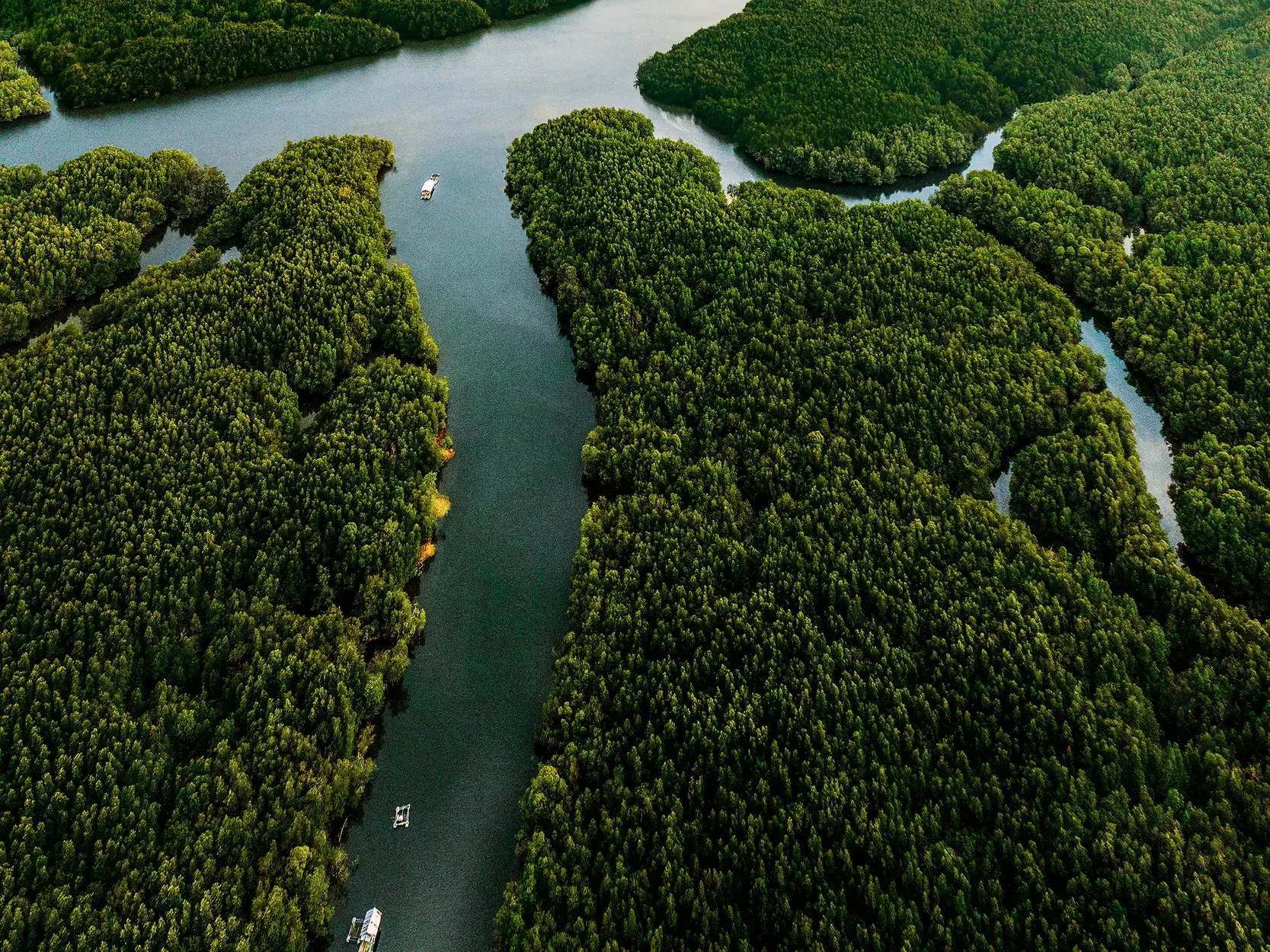 Aus der Vogelperspektive gleiten Boote durch die Wasserwege der dichten Mangrovenwälder in der Phang-Nga-Bucht.