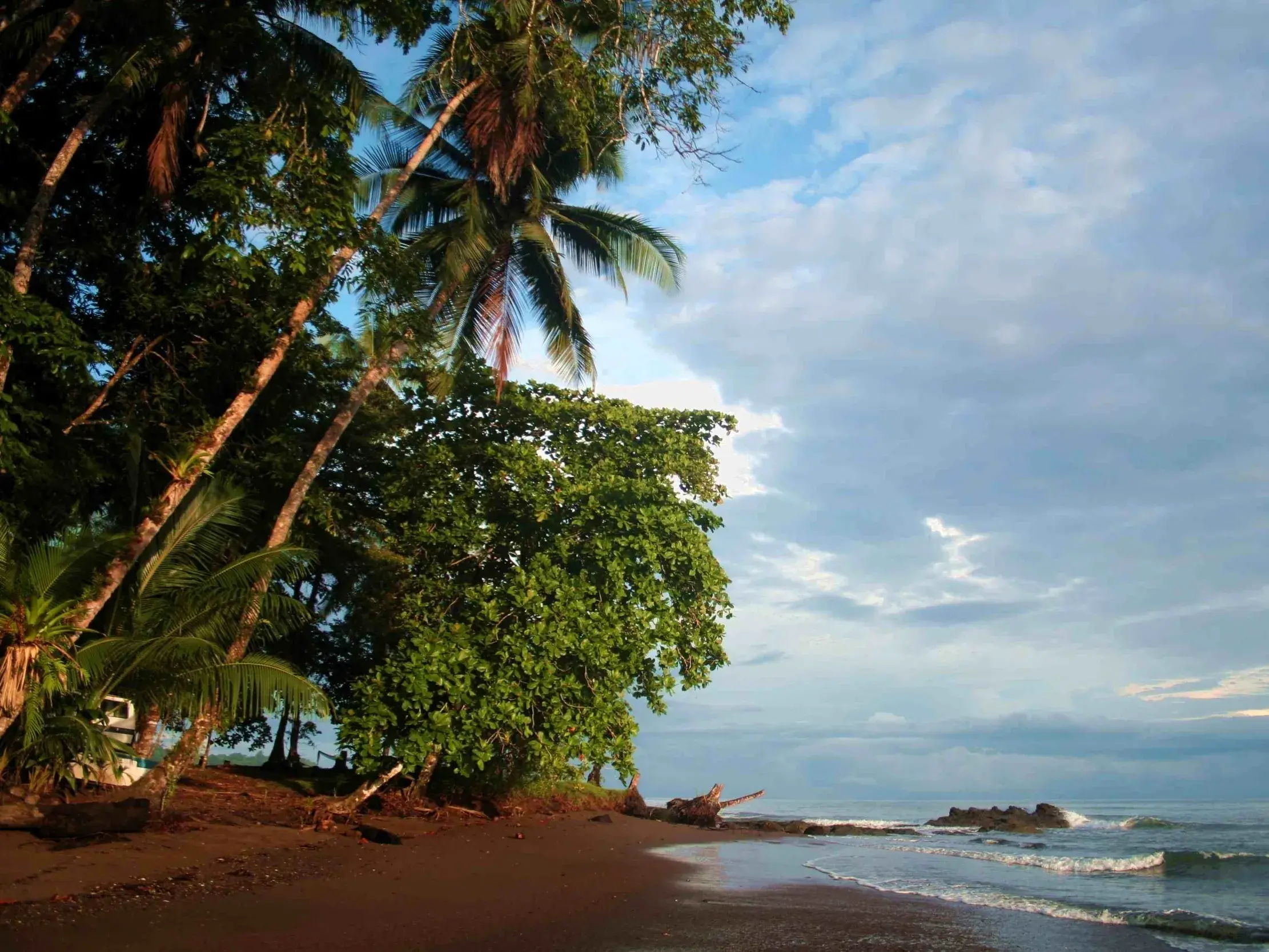Üppige Palmen und grüne Bäume an einem einsamen Sandstrand auf der Nicoya-Halbinsel in Costa Rica bei Sonnenuntergang.