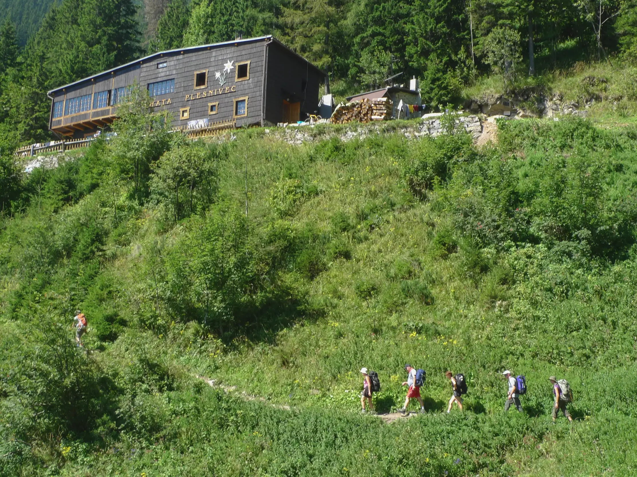 Eine Hauser-Wandergruppe mit Trekking-Rucksäcken wandert auf einem schmalen Pfad einen grünen Hang zur Berghütte Plesnivec empor.