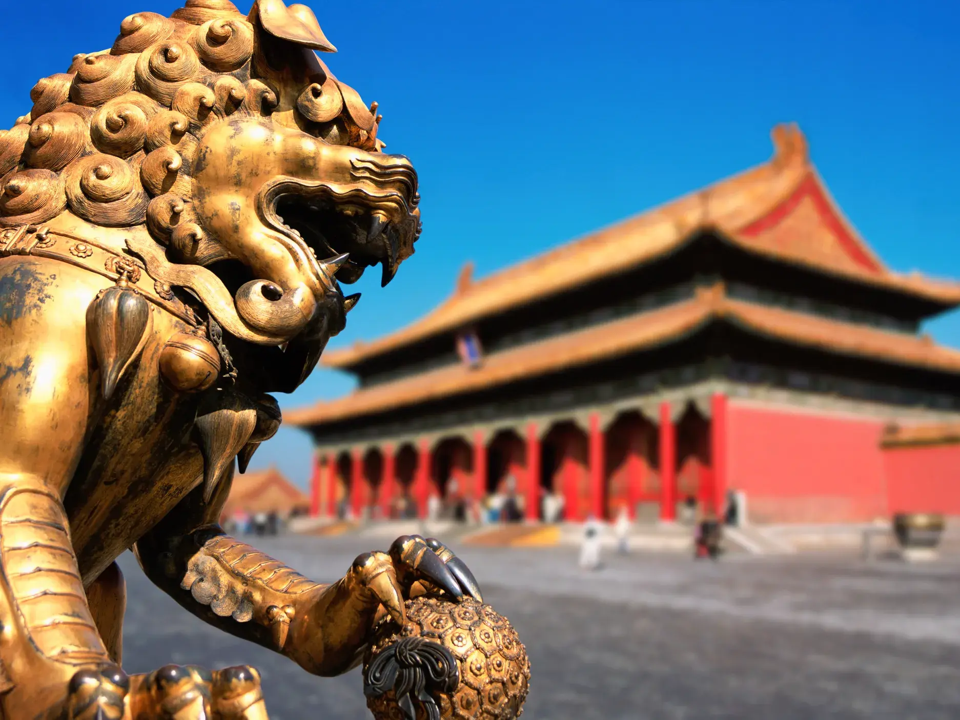 Ein goldener chinesischer Wächterlöwe bewacht einen Palast in der Verbotenen Stadt in Beijing bei blauem Himmel.