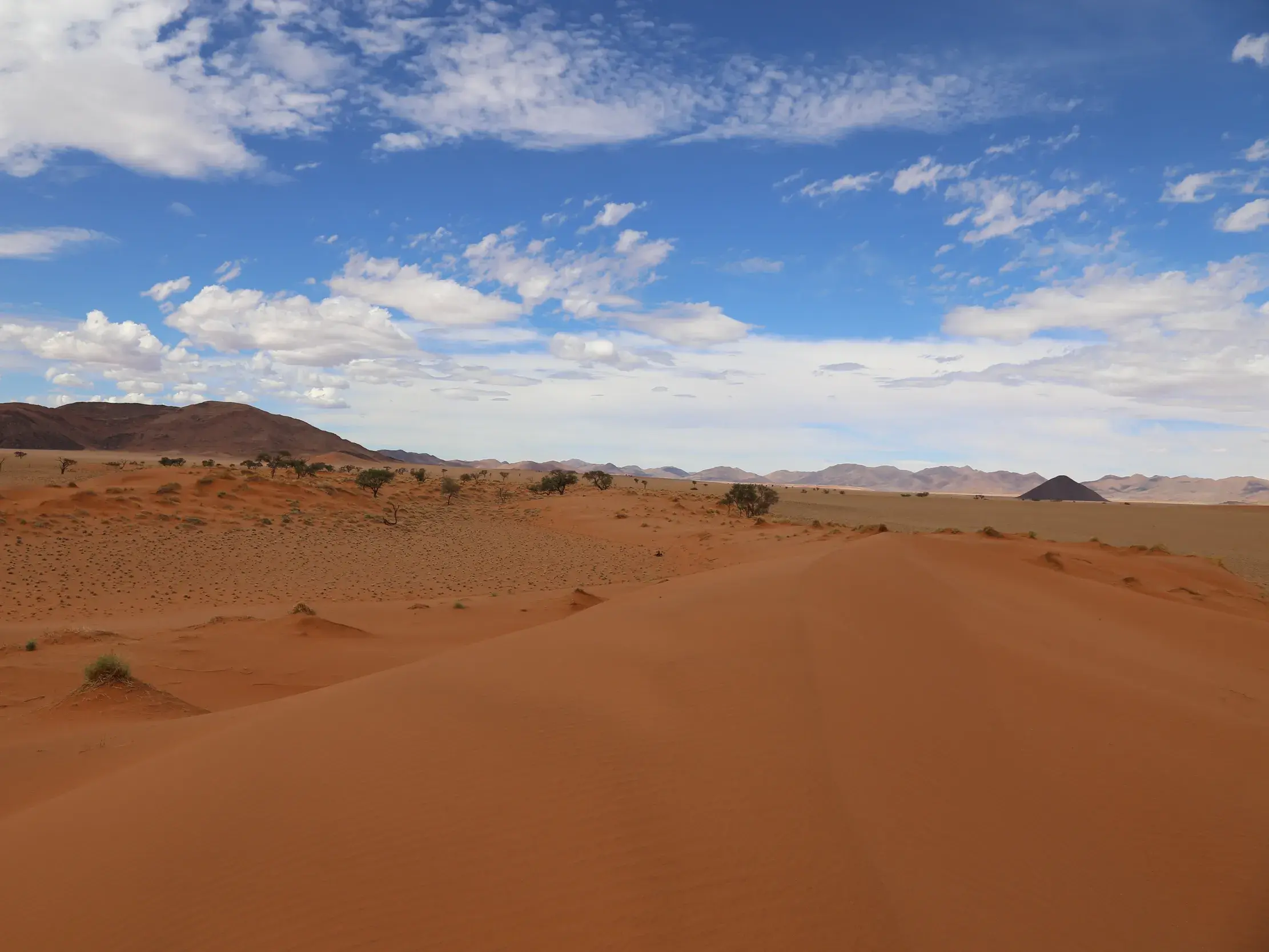 Weite, rote Dünenlandschaft der Namib-Wüste bei Sossusvlei mit vereinzelten Bäumen und Bergen am Horizont unter Wolkenhimmel.