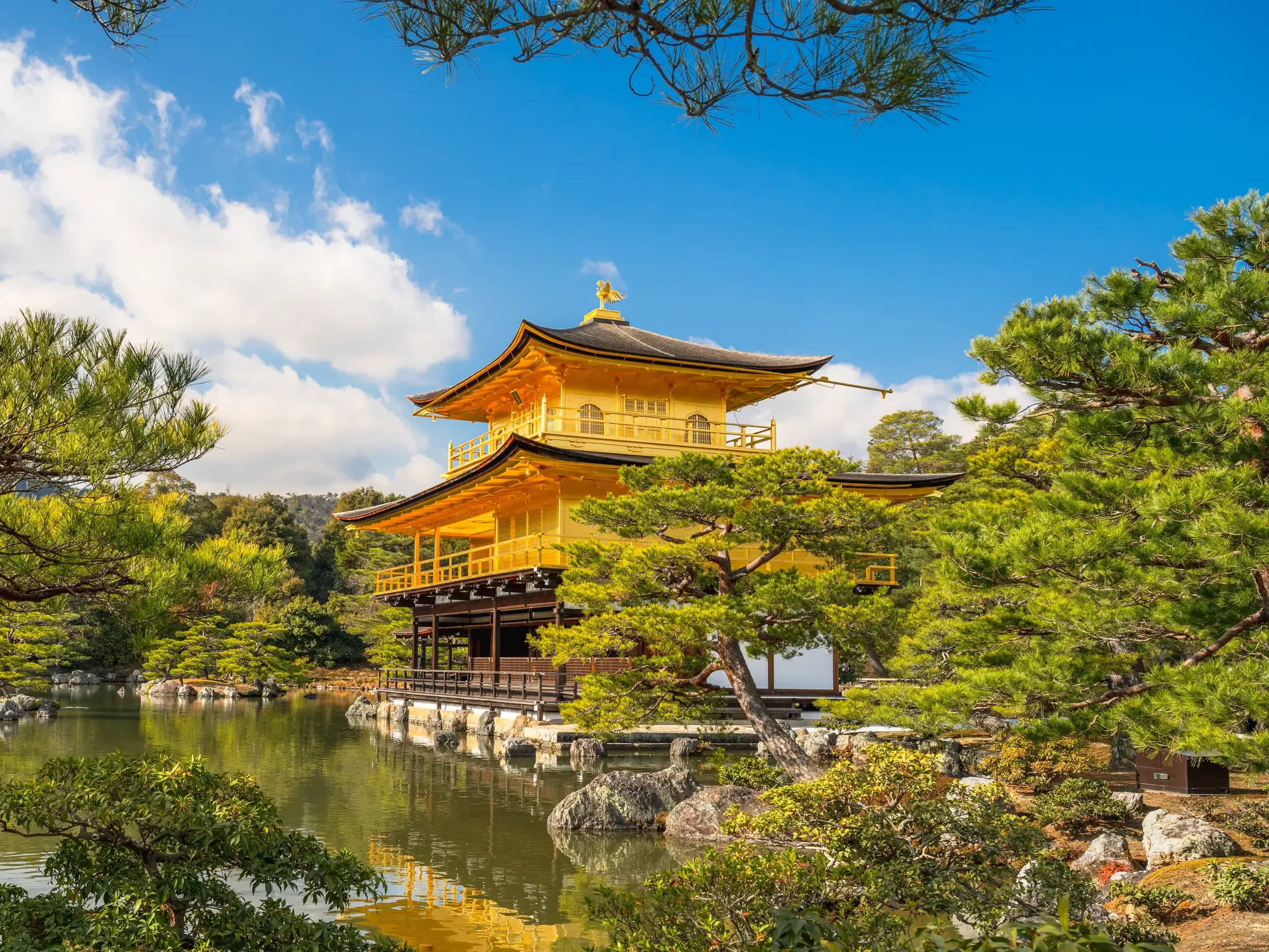 Der goldene Kinkaku-ji-Tempel in Kyoto spiegelt sich im Teich, umgeben von einem japanischen Garten unter blauem Himmel.
