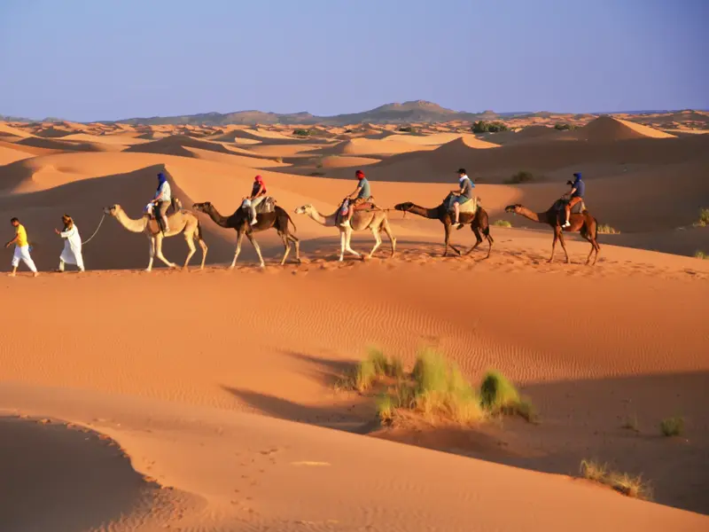 Eine Reisegruppe beim Kameltrekking mit Beduinen-Führern durch die orangen Sanddünen der Sahara in Marokko.