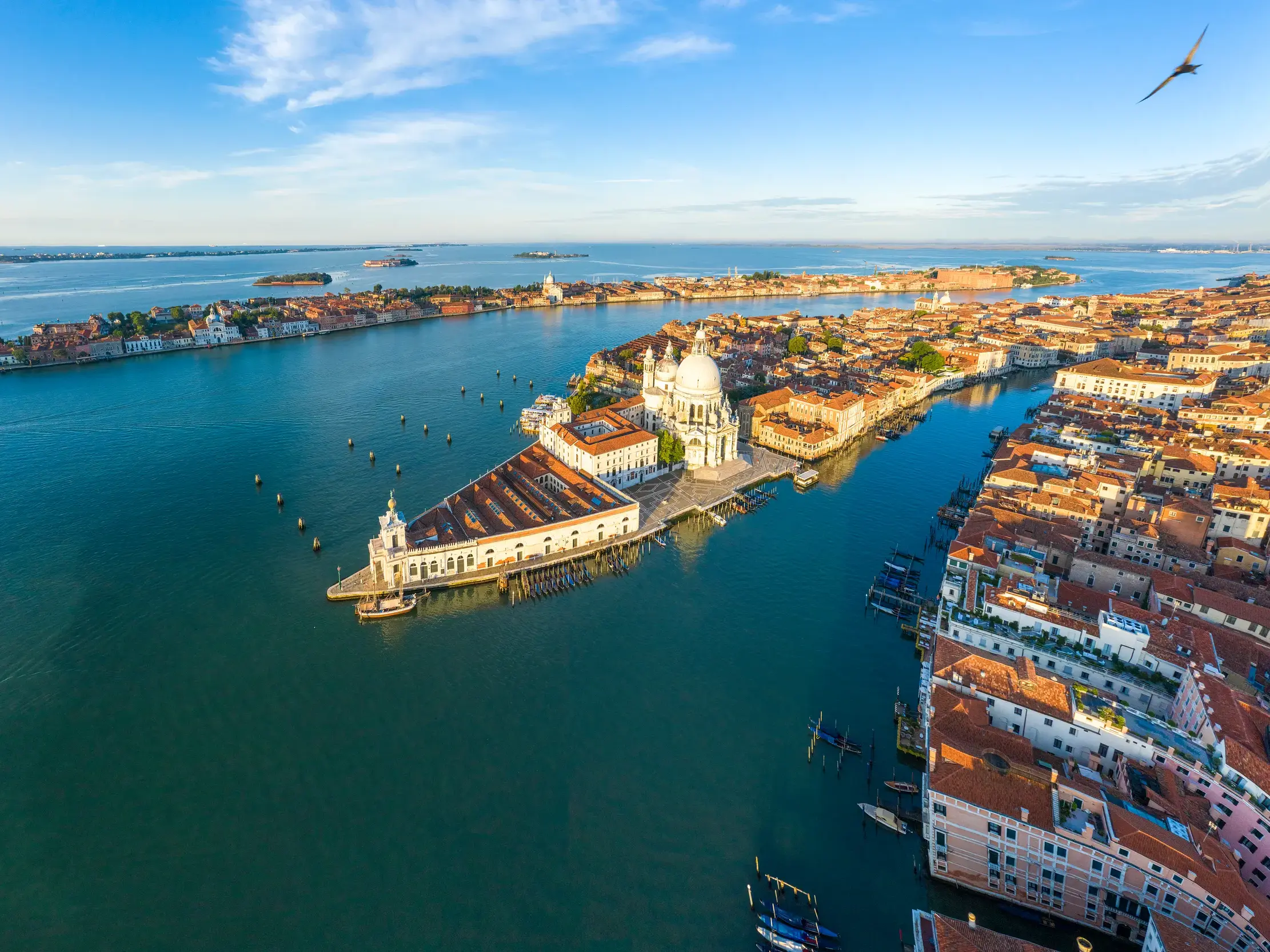 Luftaufnahme von Venedig, der Lagunenstadt, mit der berühmten Basilica Santa Maria della Salute am Canal Grande.