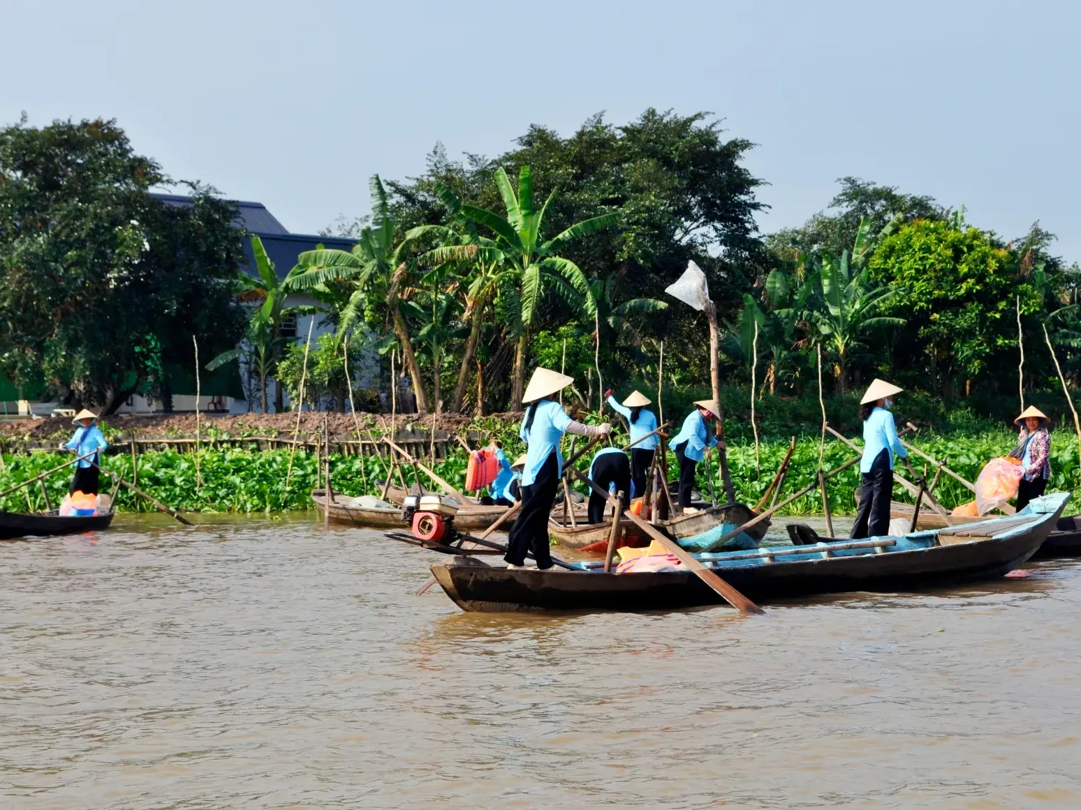 Einheimische in traditionellen Kegelhüten rudern mit Sampan-Booten durch das üppig grüne Mekong-Delta in Vietnam.