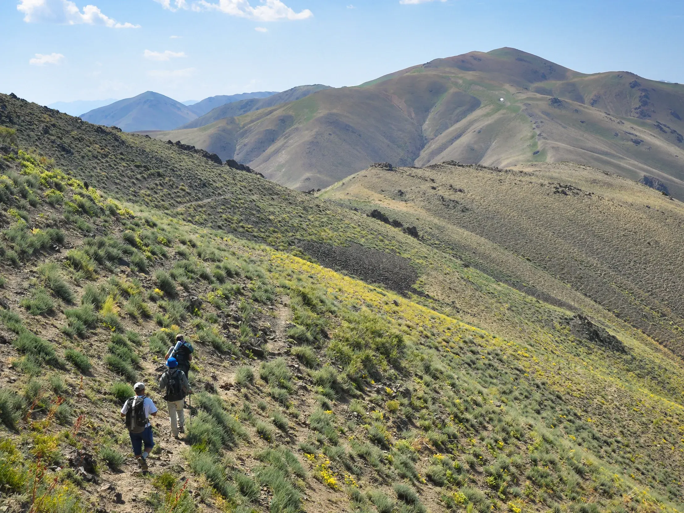 Zwei Trekking-Reisende wandern auf einem schmalen Pfad durch das weite, sonnige Nuratau-Gebirge in Usbekistan.