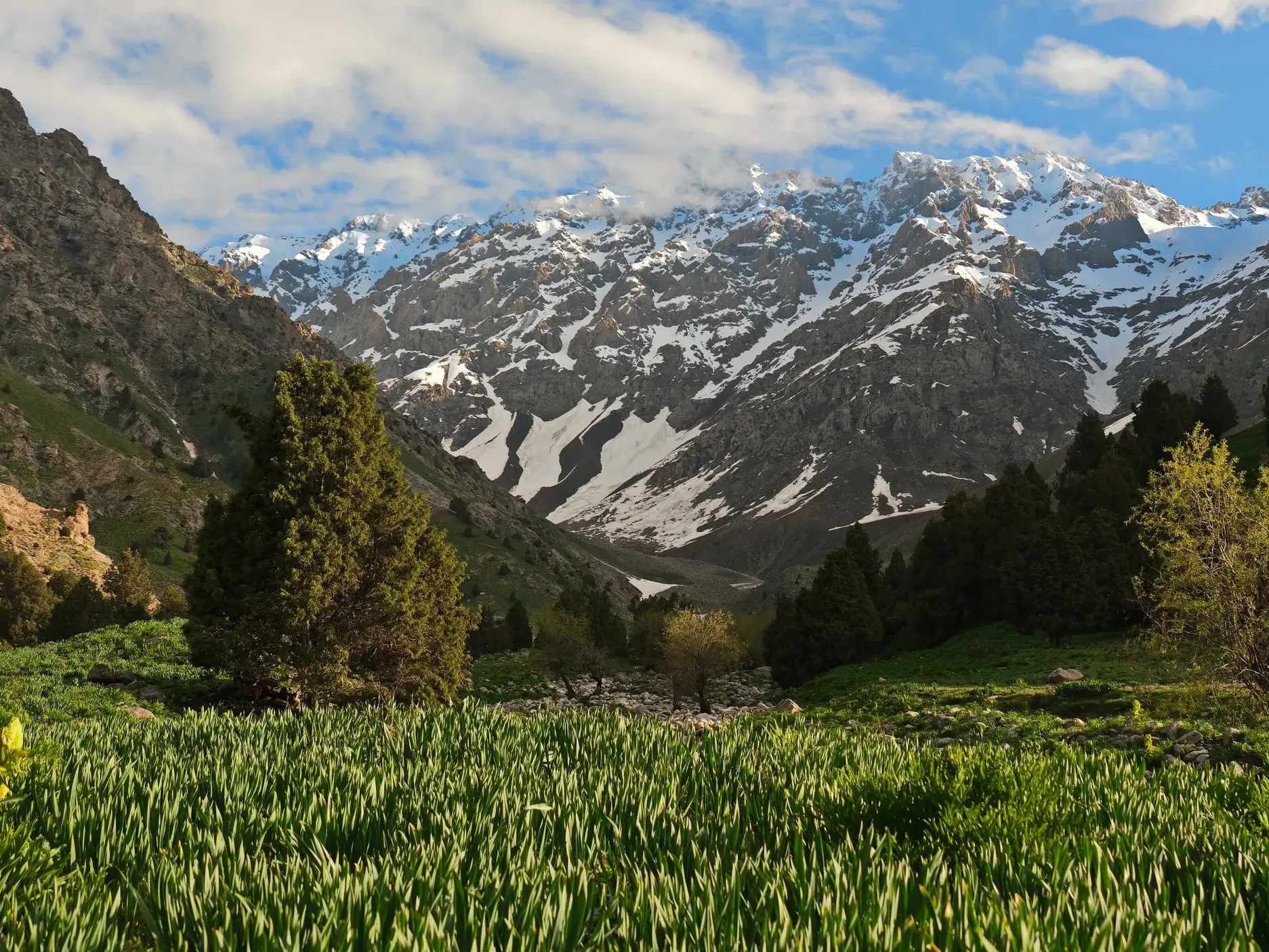 Üppige, grüne Hochebene im Shirkent-Nationalpark vor der Kulisse der schneebedeckten Gipfel des Hissar-Gebirges.