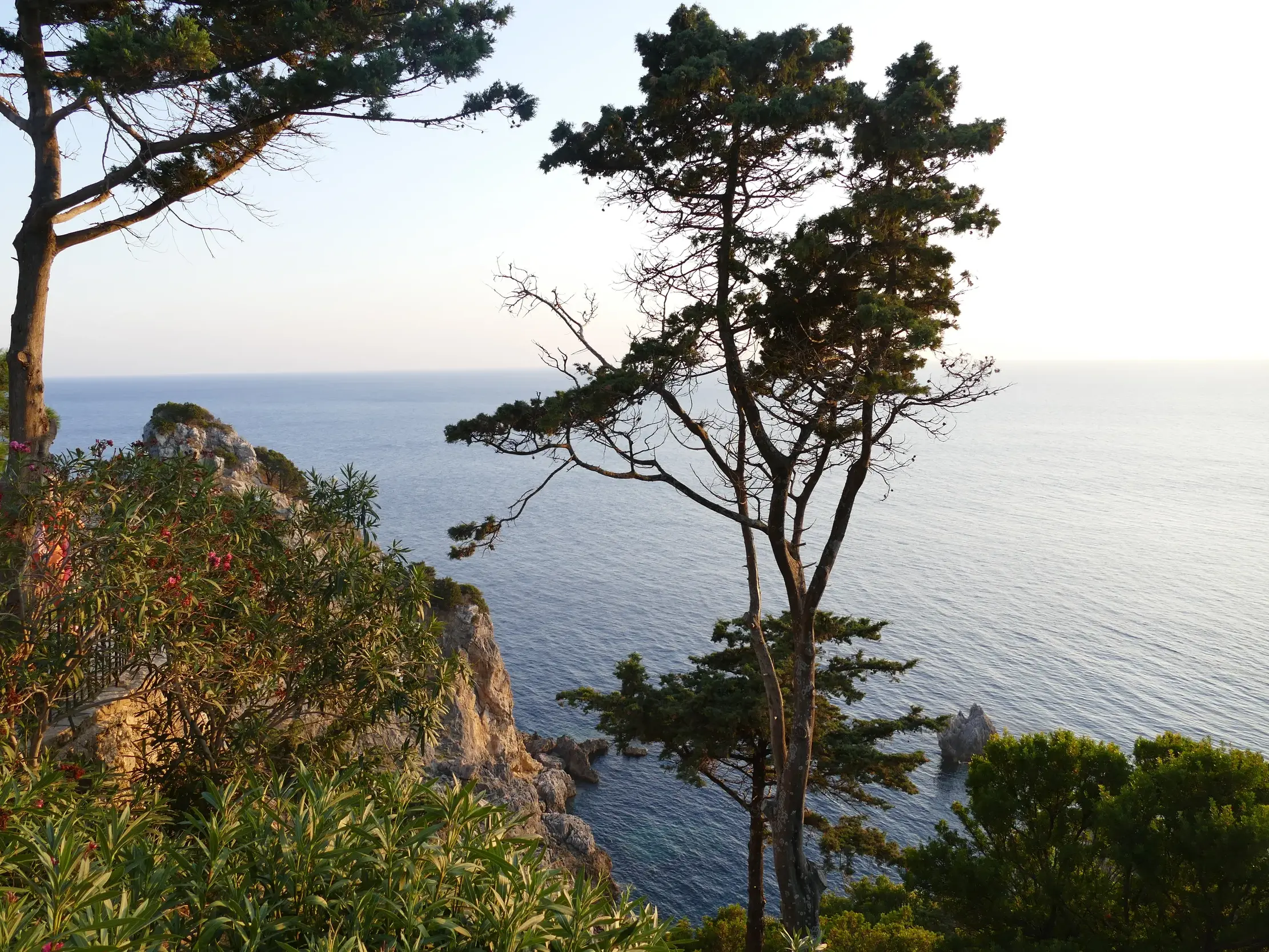 Ausblick vom Küstenpfad des Korfu-Trails über Pinien und die Steilküste auf das weite, blaue Meer Griechenlands.