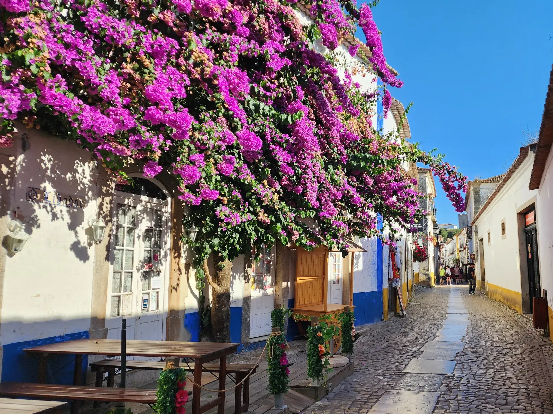 Sonnige, enge Gasse in Óbidos mit Kopfsteinpflaster und einer Fassade, die von leuchtend lila Bougainvilleen bewachsen ist.