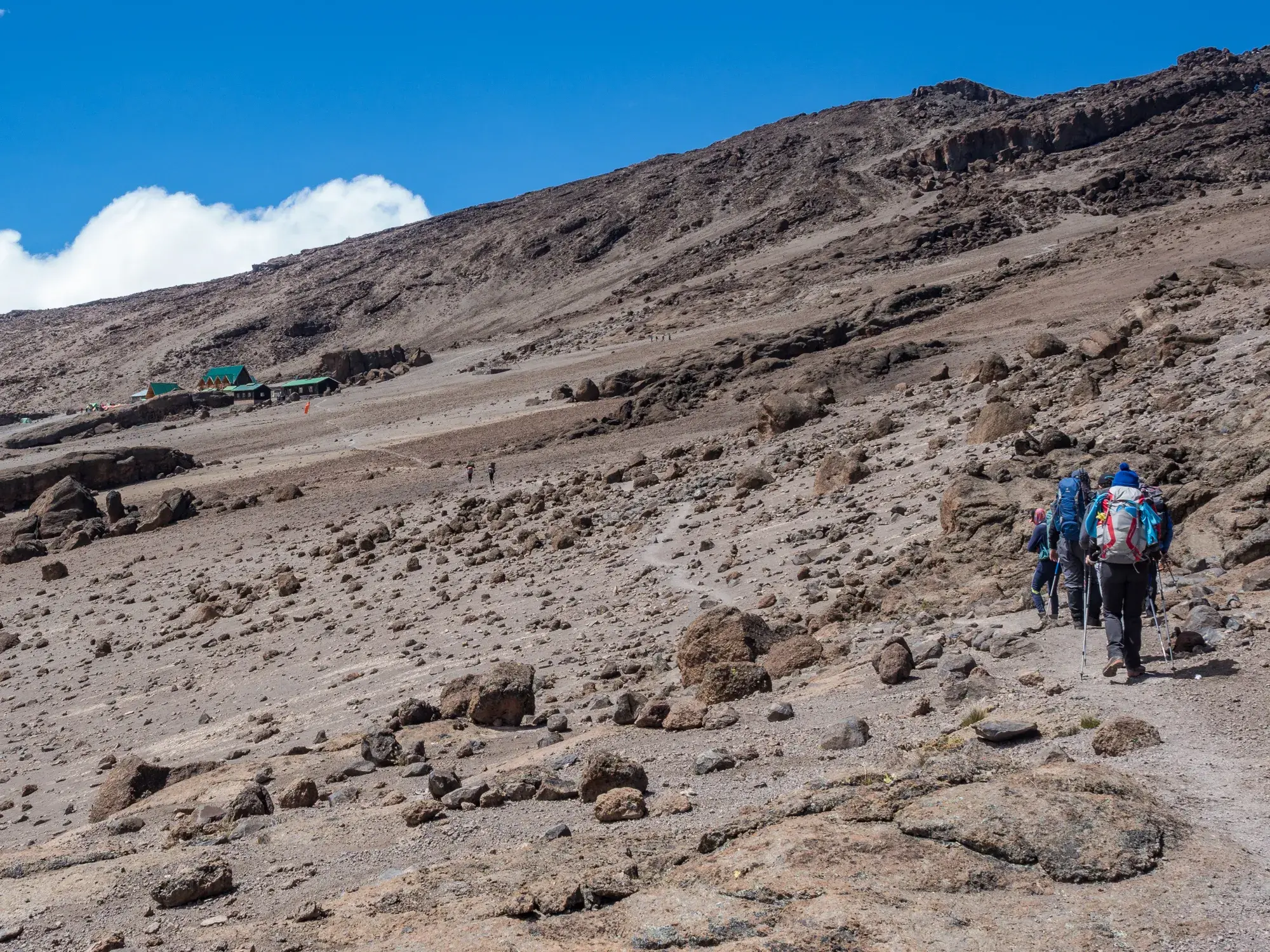 Eine Hauser-Trekkinggruppe wandert auf einem steinigen Pfad bergauf zur School Hut in der alpinen Landschaft des Kilimanjaro.