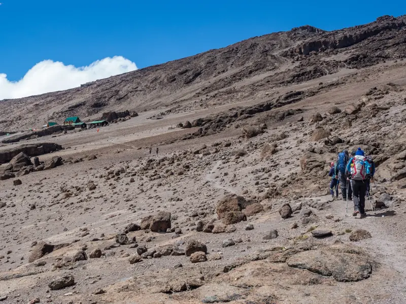 Eine Hauser-Trekkinggruppe wandert auf einem steinigen Pfad bergauf zur School Hut in der alpinen Landschaft des Kilimanjaro.