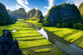 Panoramablick auf den Ngo Dong Fluss in Tam Coc mit grünen Reisfeldern, Karstbergen und kleinen Booten bei Sonnenschein.