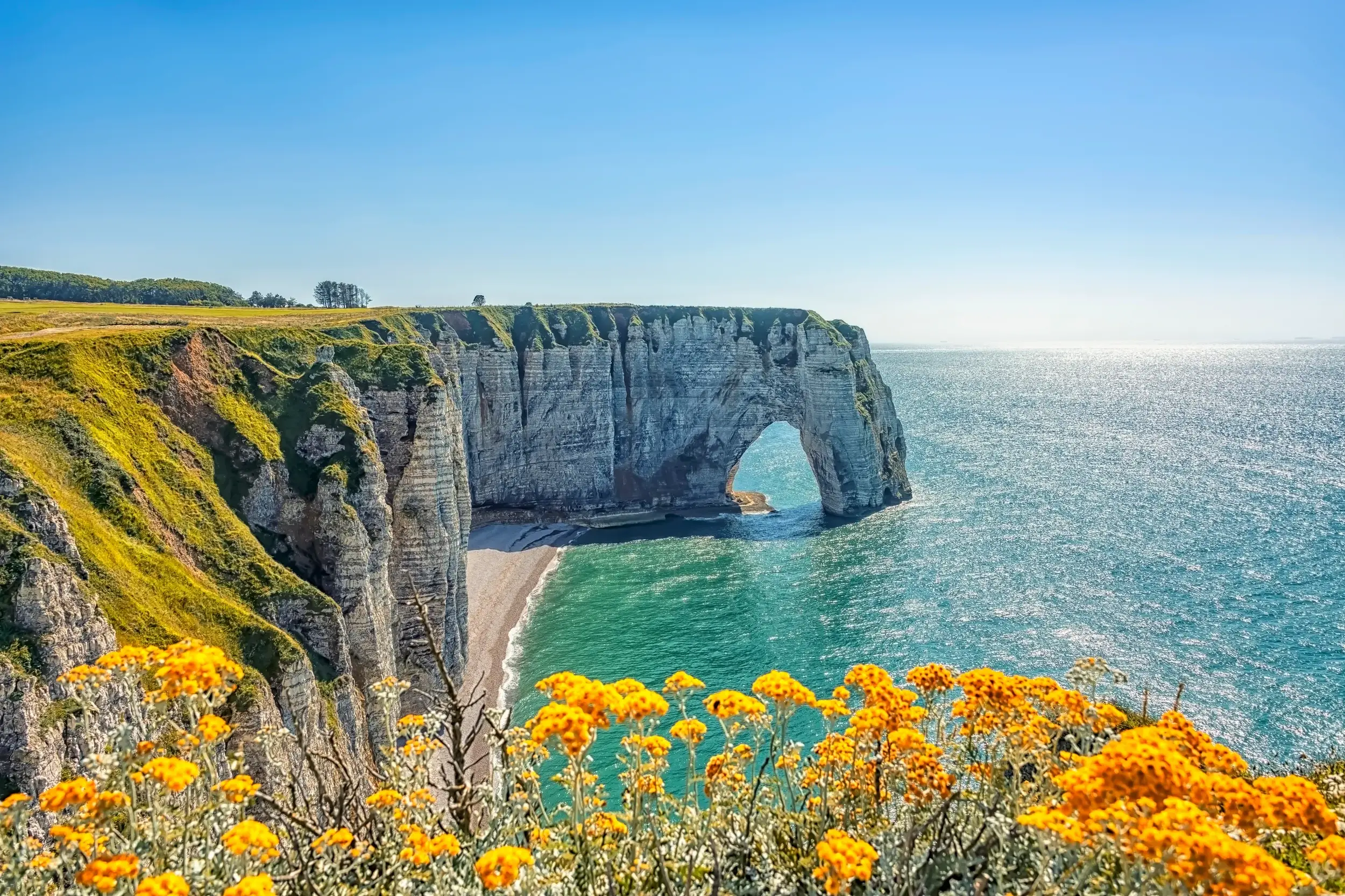 Gelbe Blumen an der Alabasterküste mit Blick auf die beeindruckenden Kreidefelsen und das natürliche Felsentor von Étretat.
