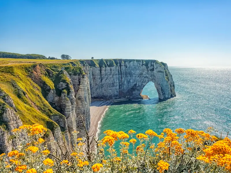 Gelbe Blumen an der Alabasterküste mit Blick auf die beeindruckenden Kreidefelsen und das natürliche Felsentor von Étretat.