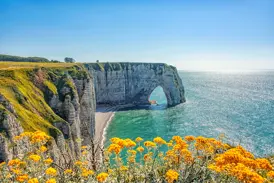 Gelbe Blumen an der Alabasterküste mit Blick auf die beeindruckenden Kreidefelsen und das natürliche Felsentor von Étretat.